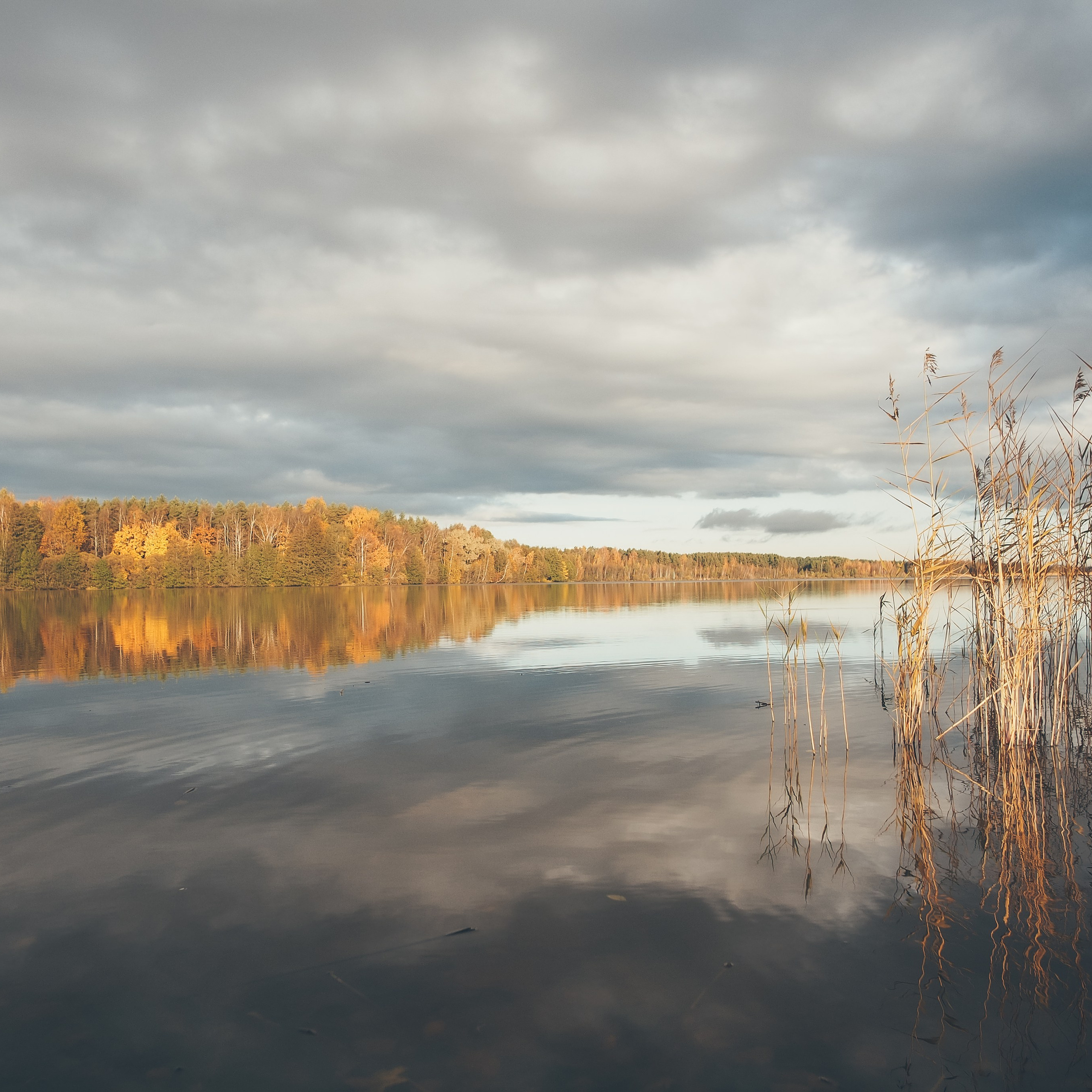 Сестрорецк