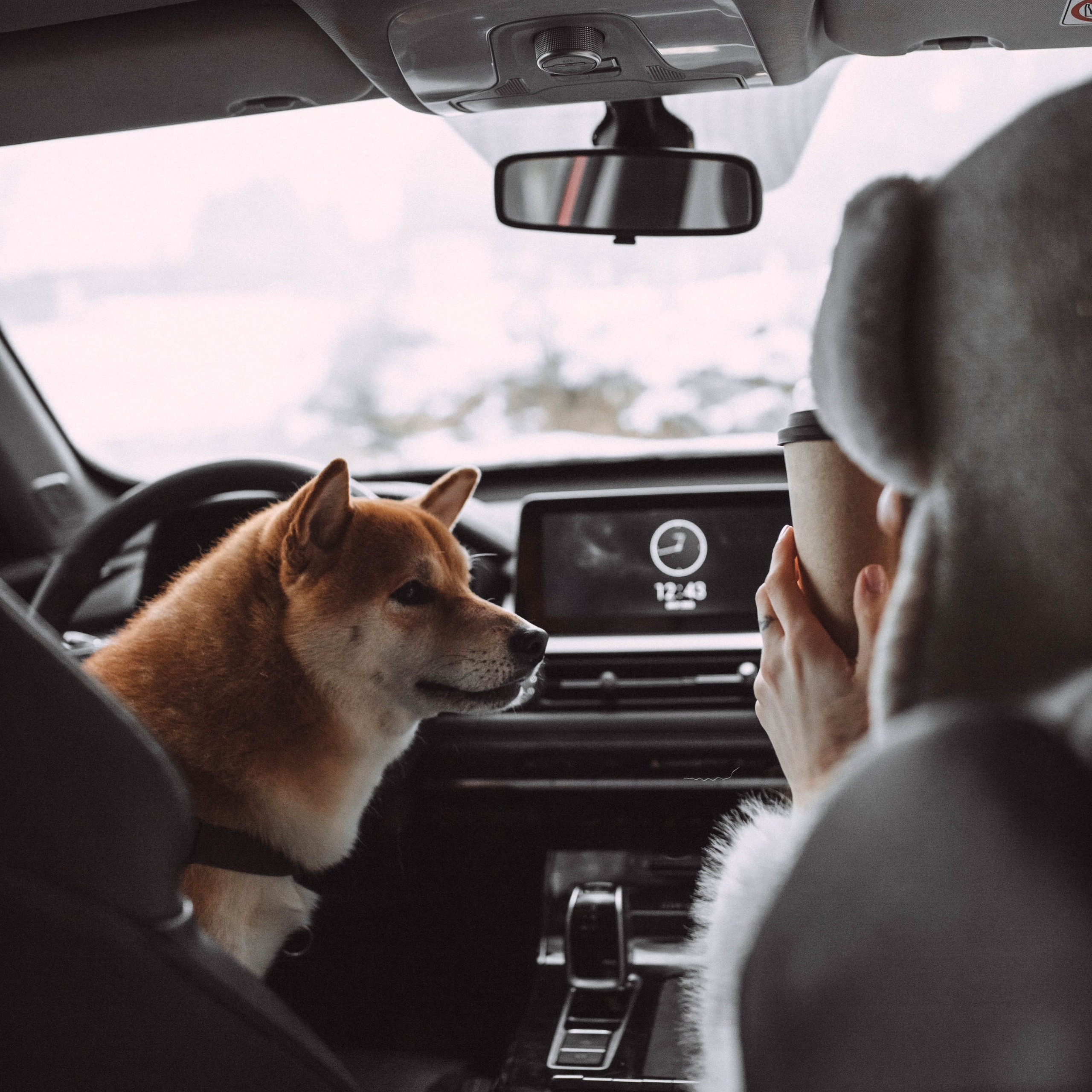 Семейный и женский фотограф в Москве/Твери. Меня зовут Яна Гош