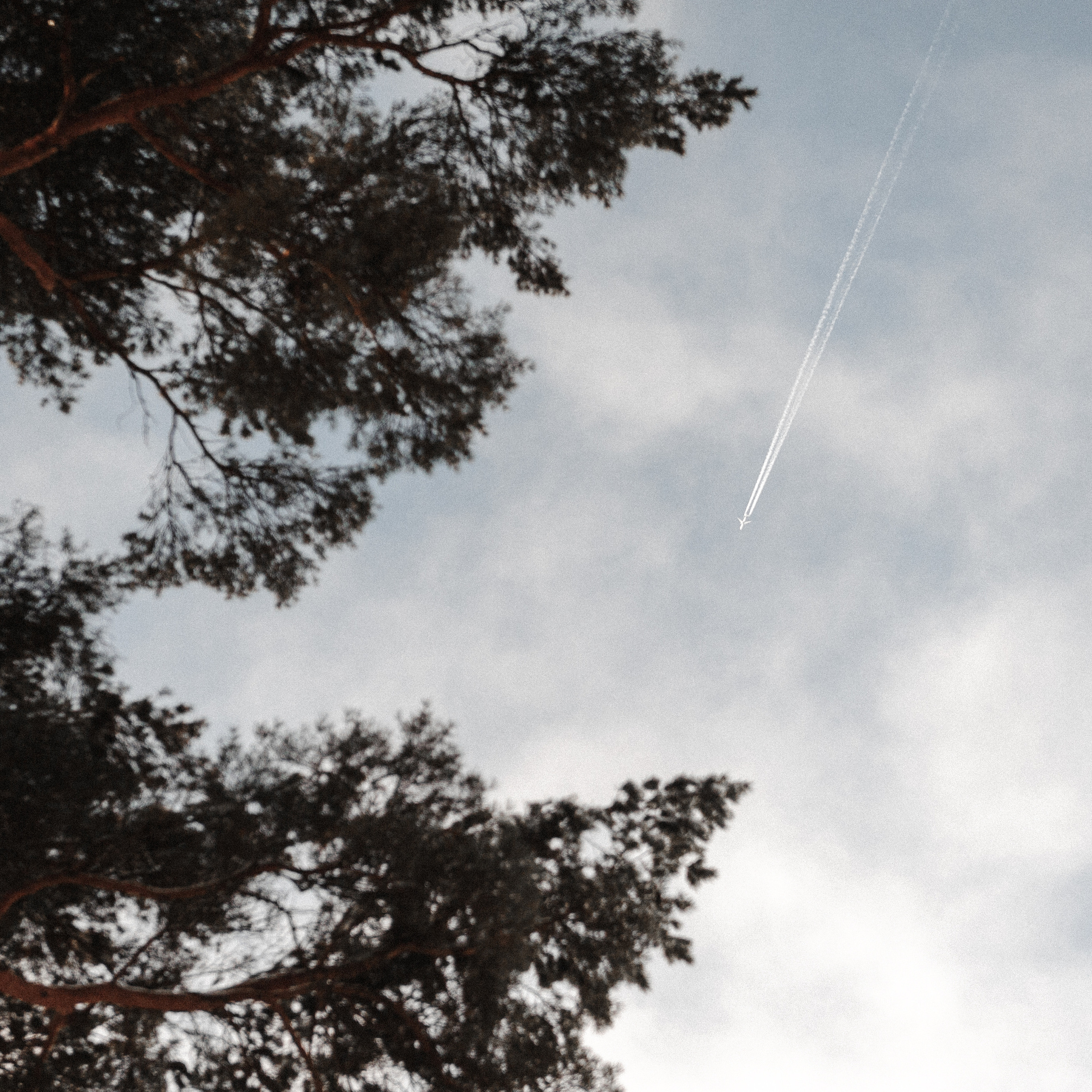 Мама, самолёт!