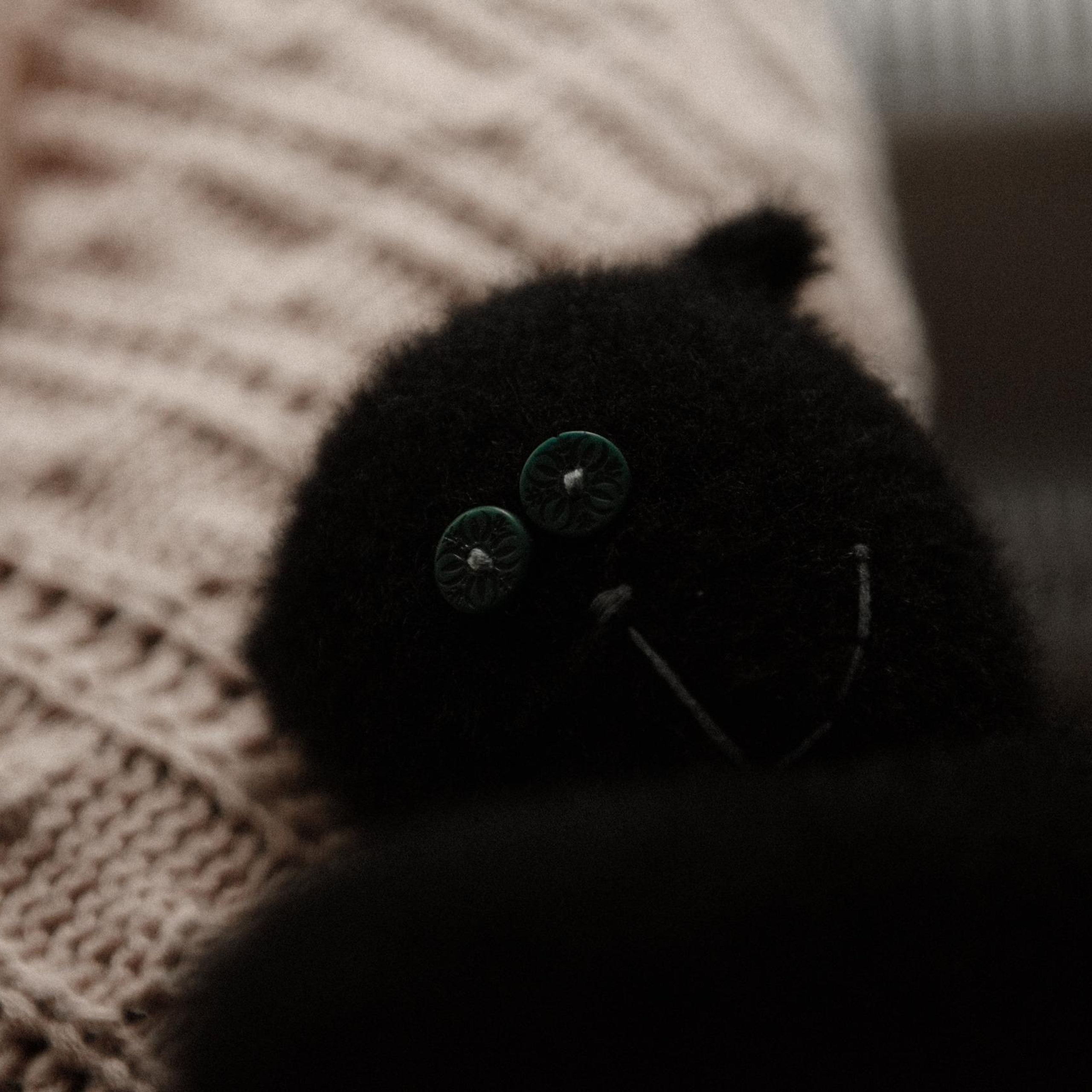 Отзывы. Свадебный фотограф в Ярославле и Москве Руслан Иософатов