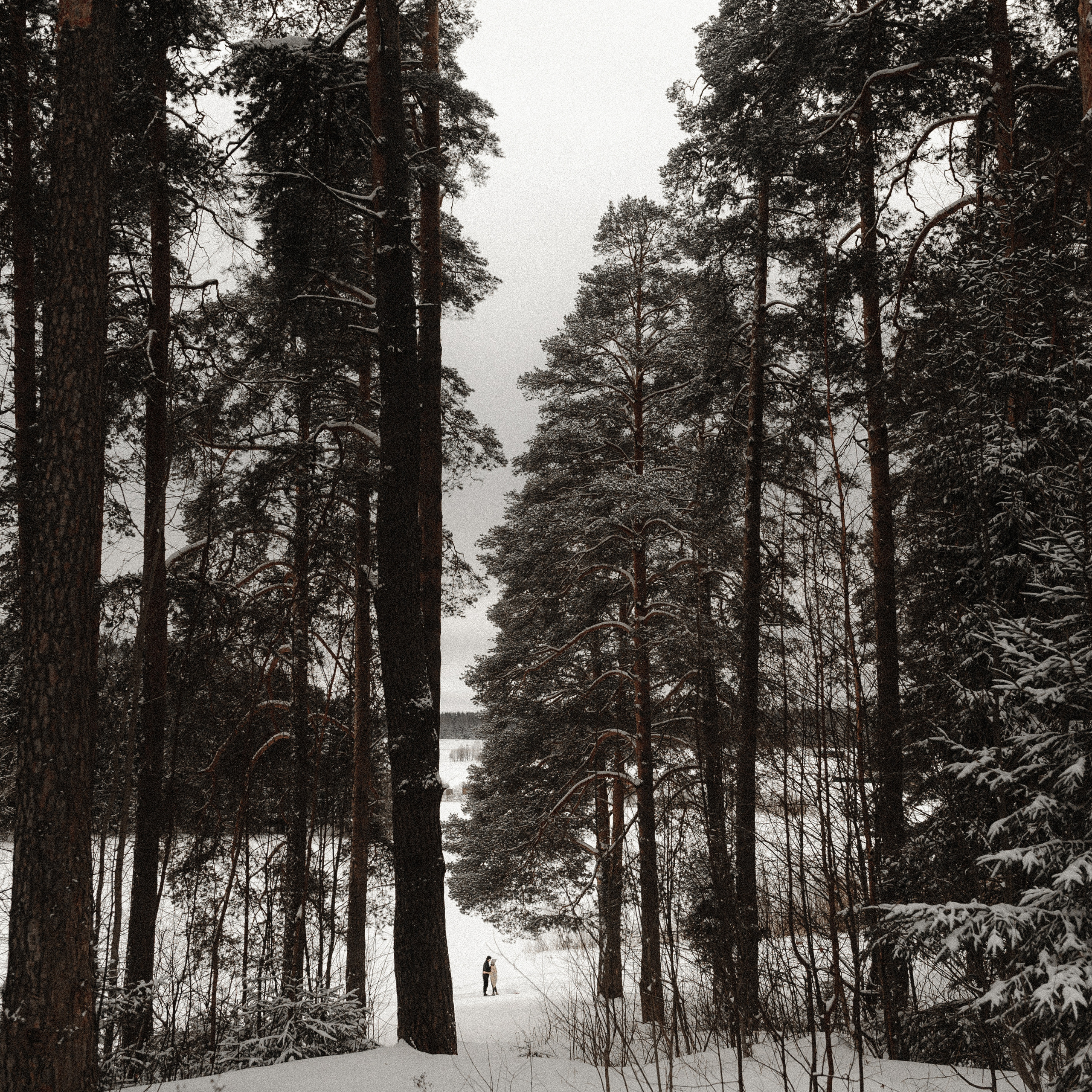 Илья и Ангелина