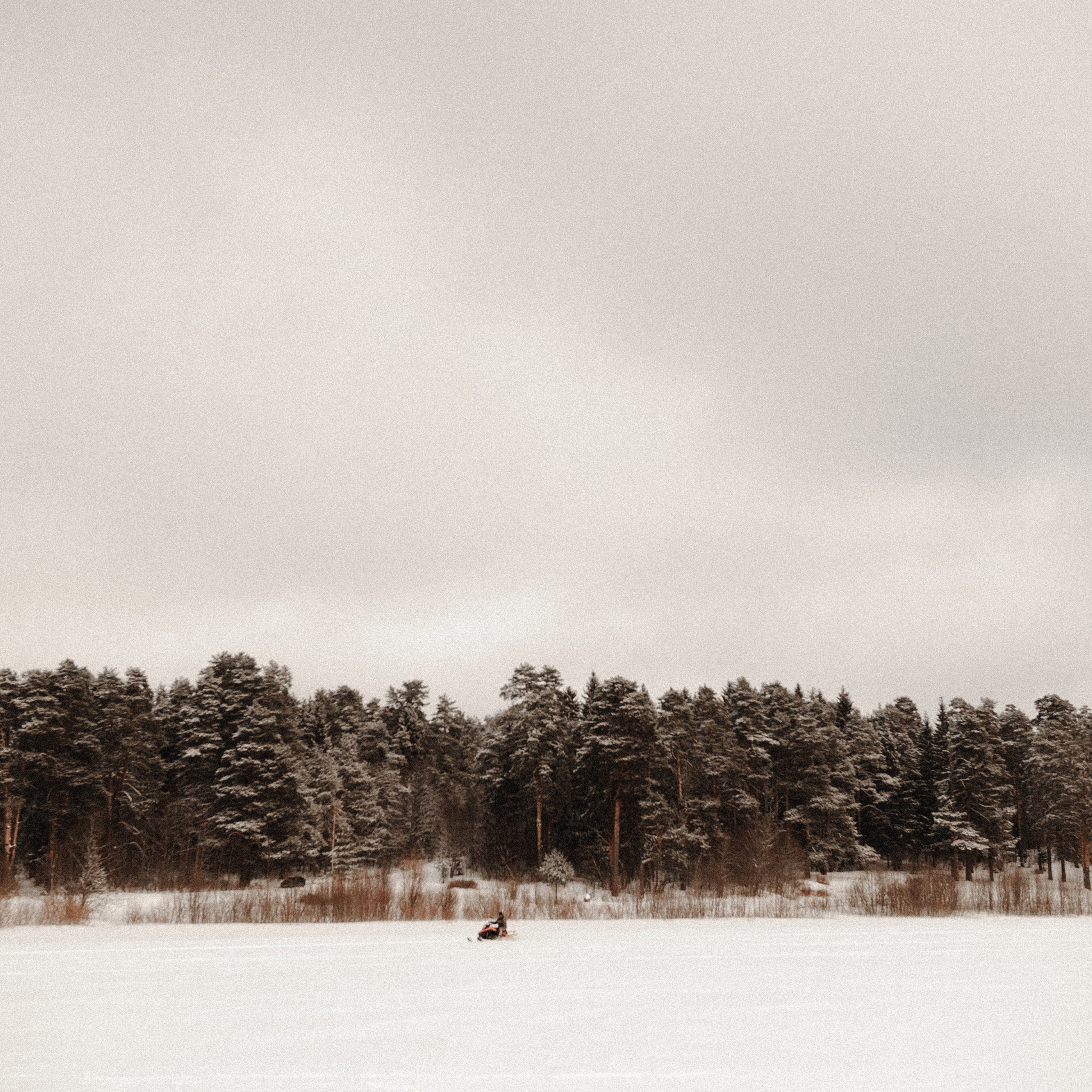 Отзывы. Свадебный фотограф в Ярославле и Москве Руслан Иософатов