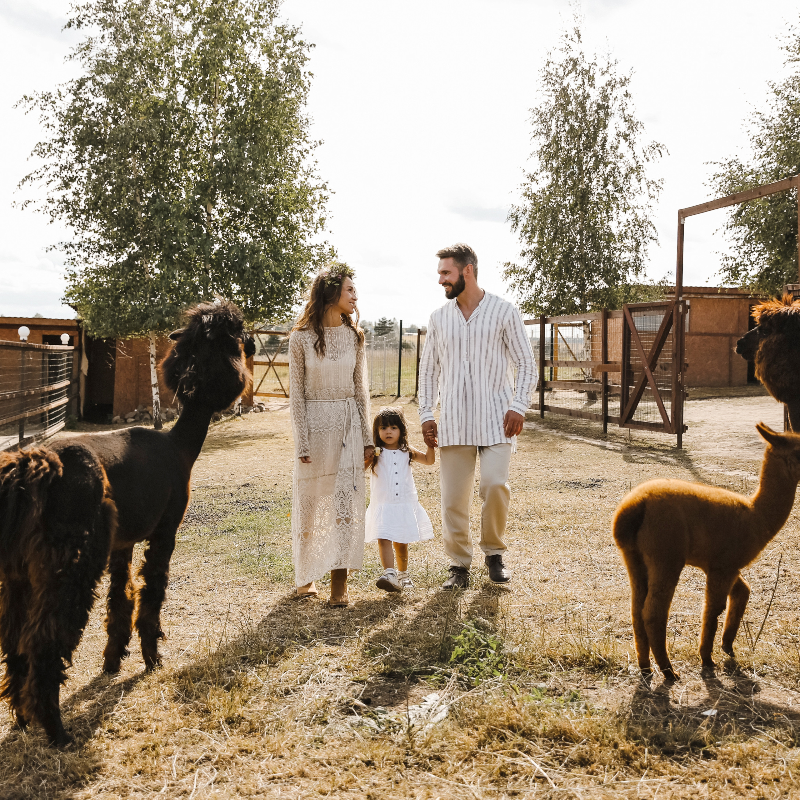 Ферма Альпаков Подмосковье