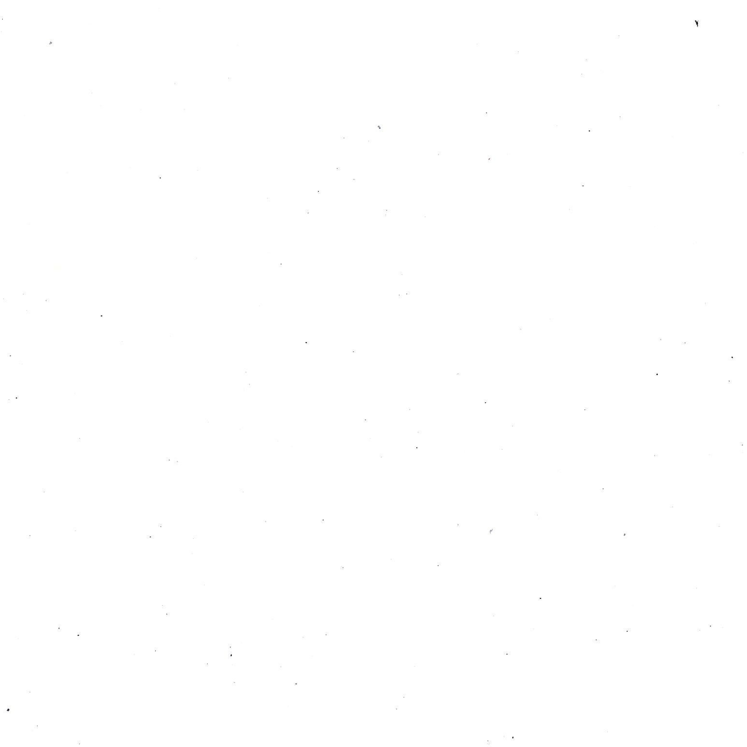 Reviews. Photographer in Israel Alice Milchin