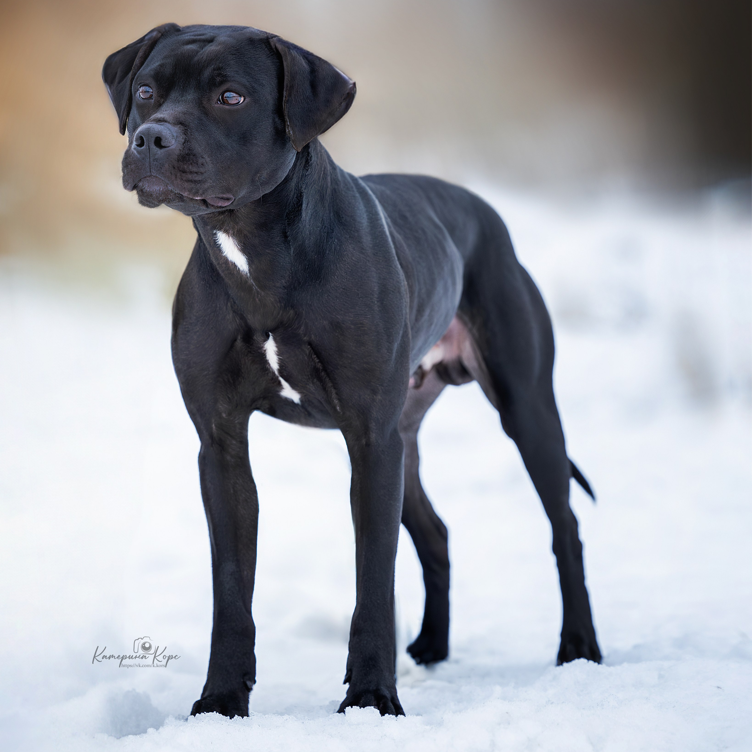 Истории. Главная