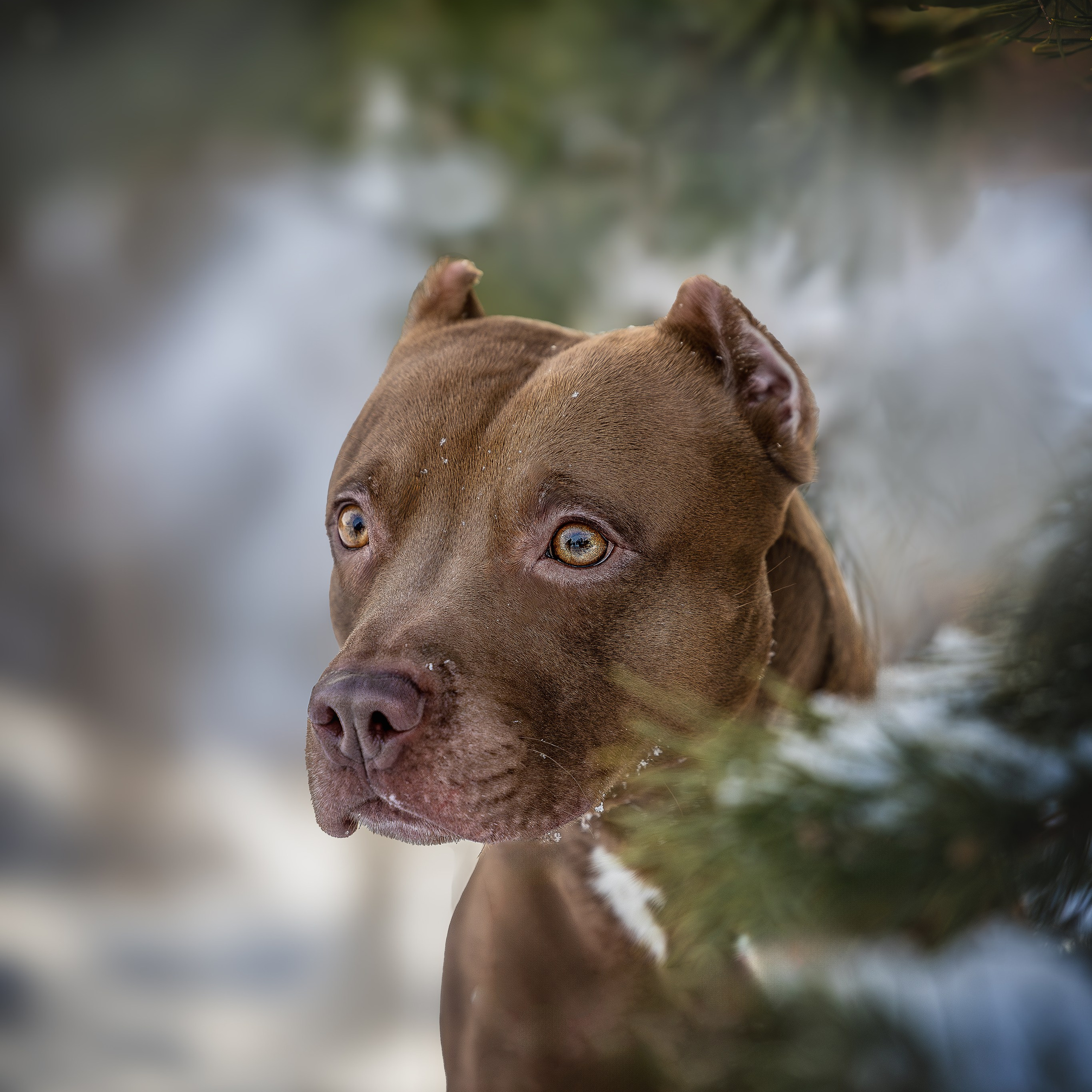 Истории. Главная