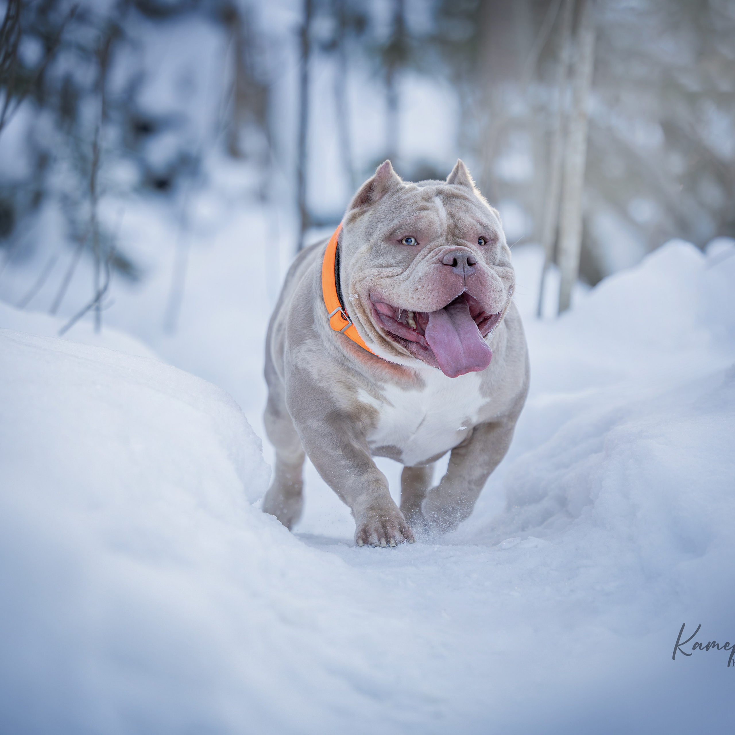 Истории. Главная