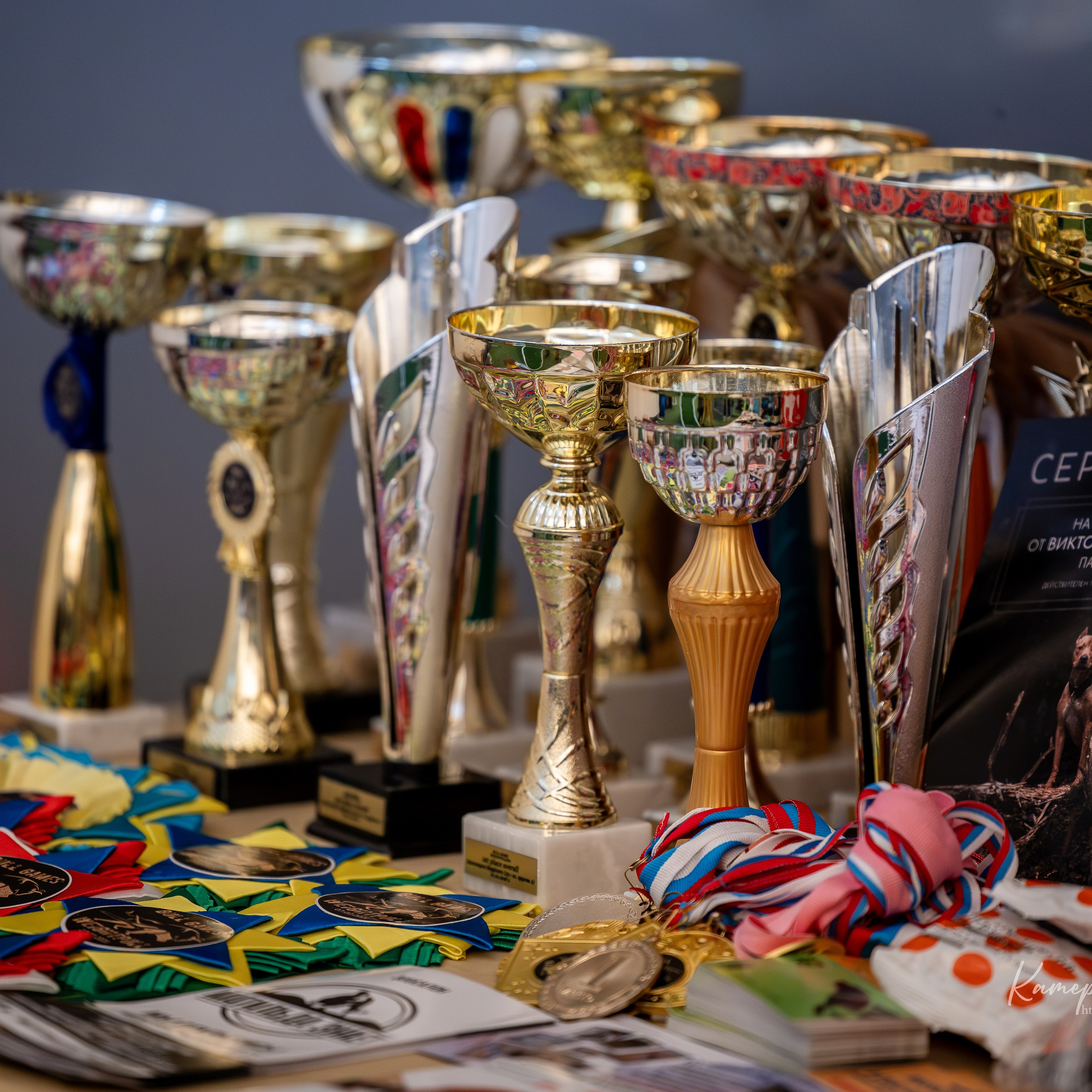 Истории. Главная