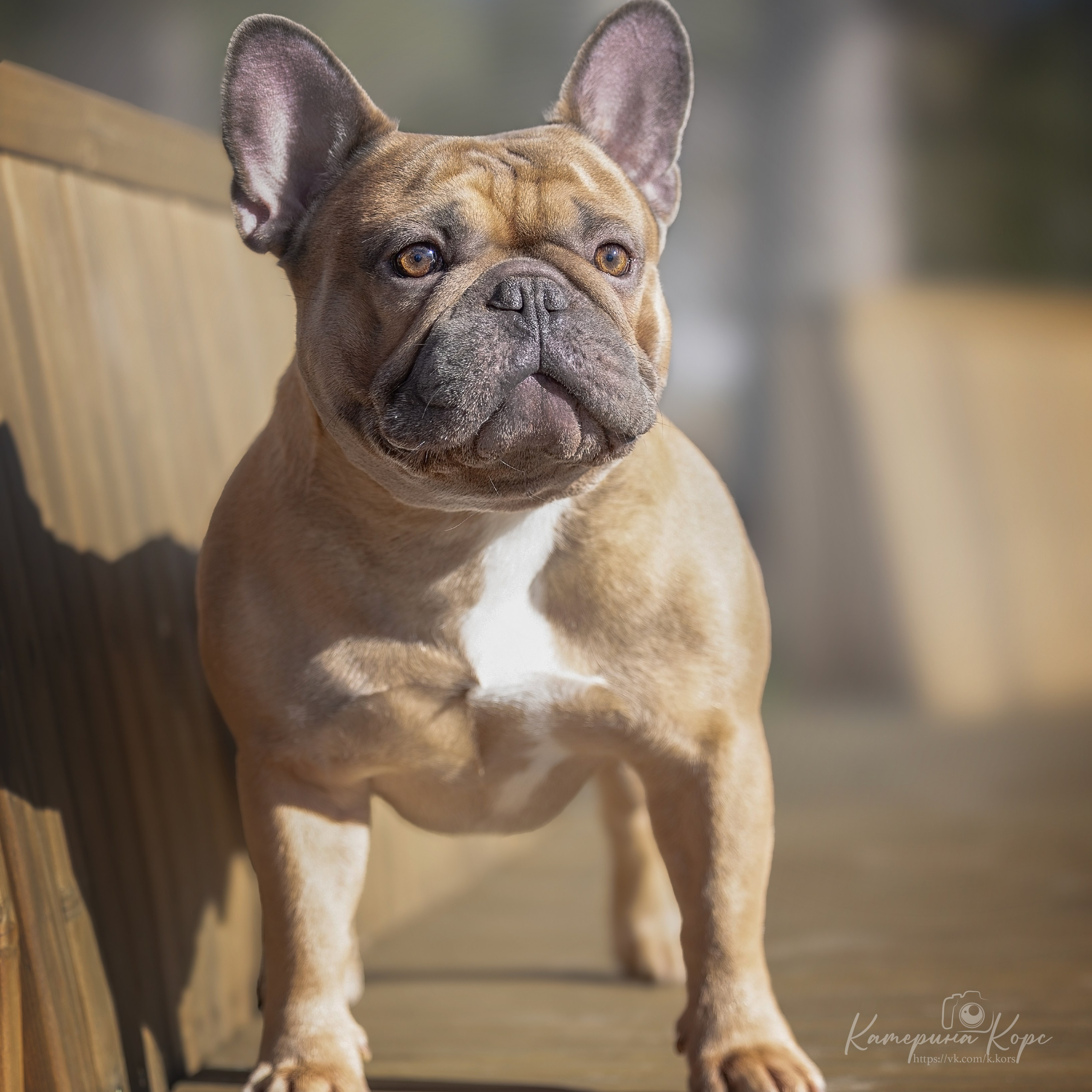 Истории. Главная