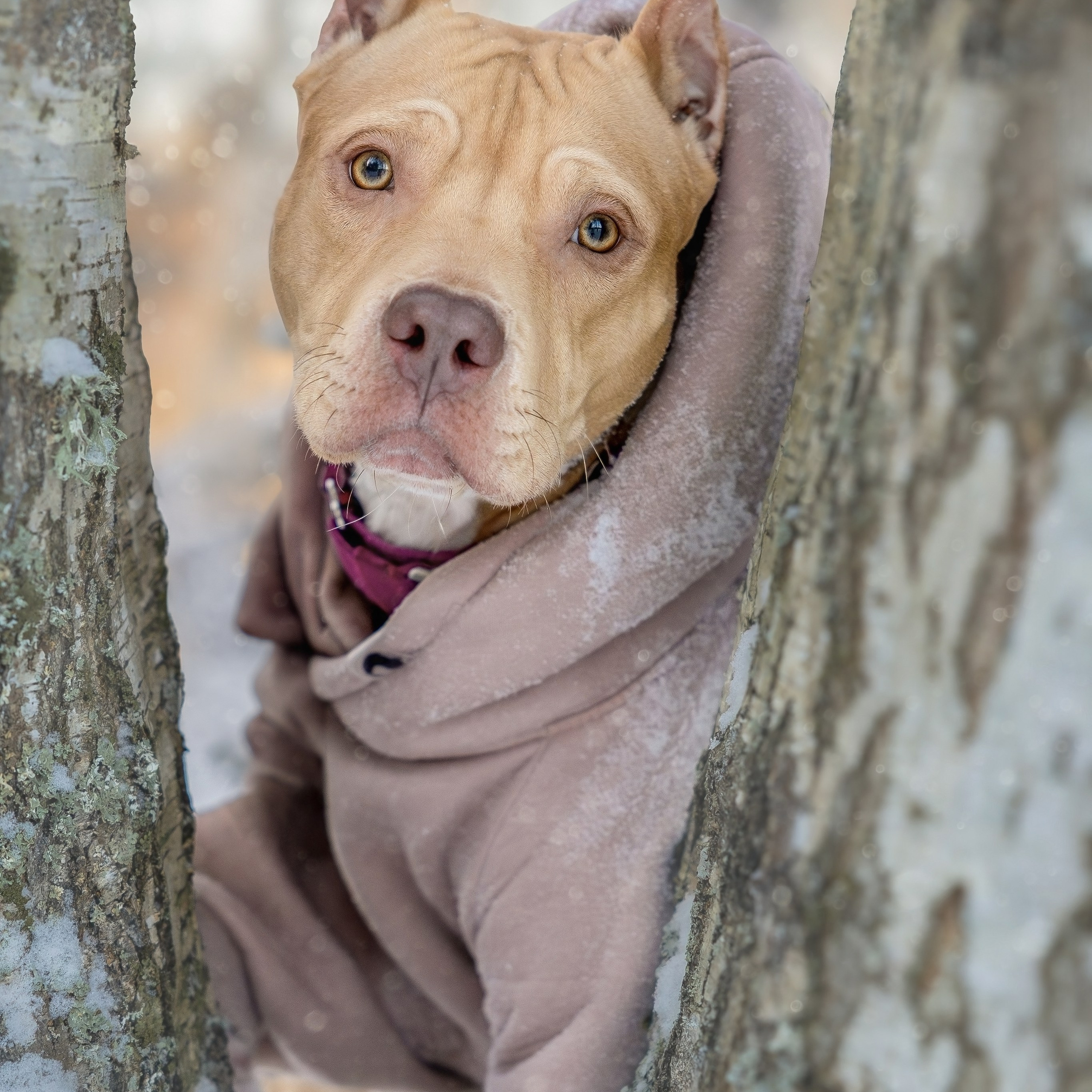 Истории. Главная