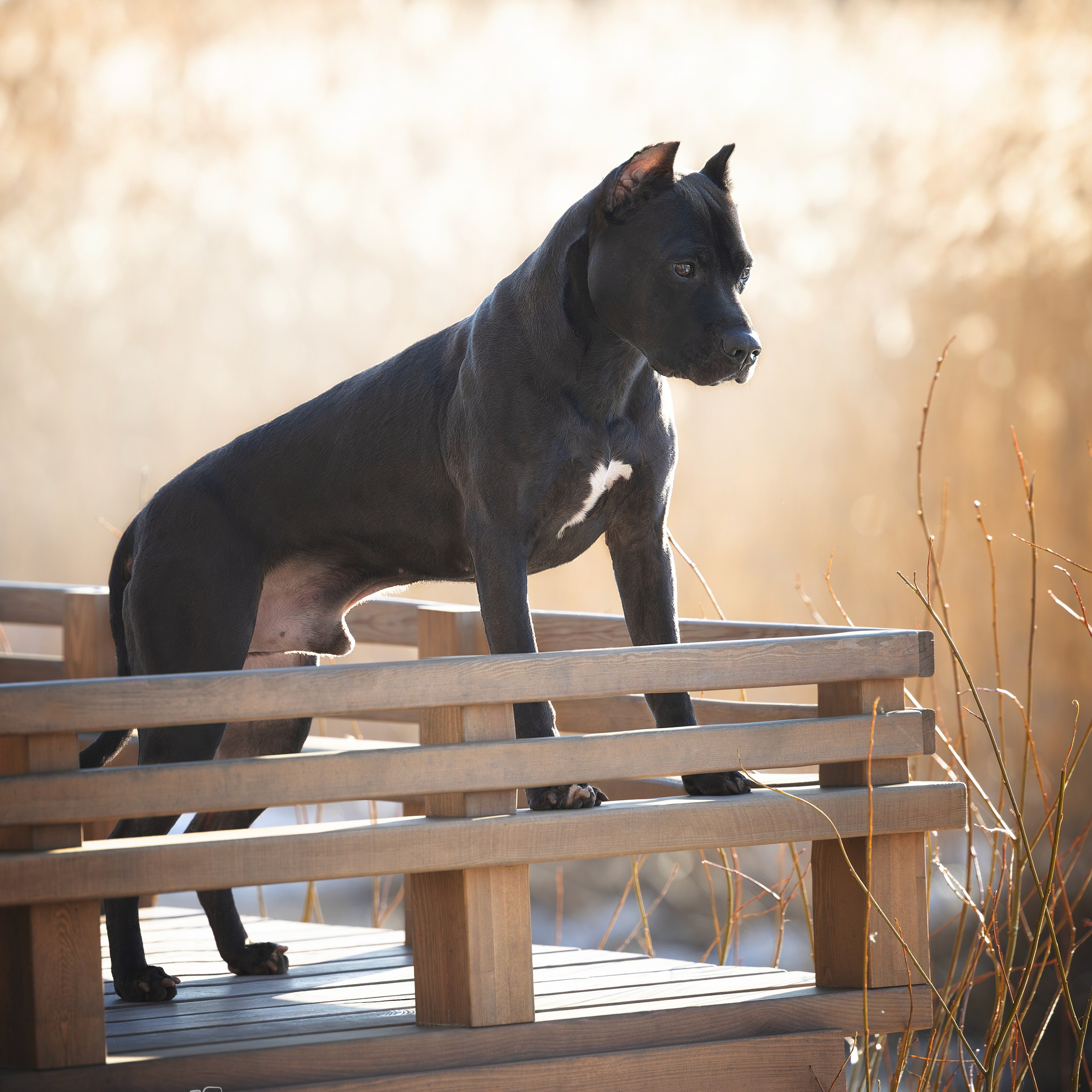 Истории. Главная