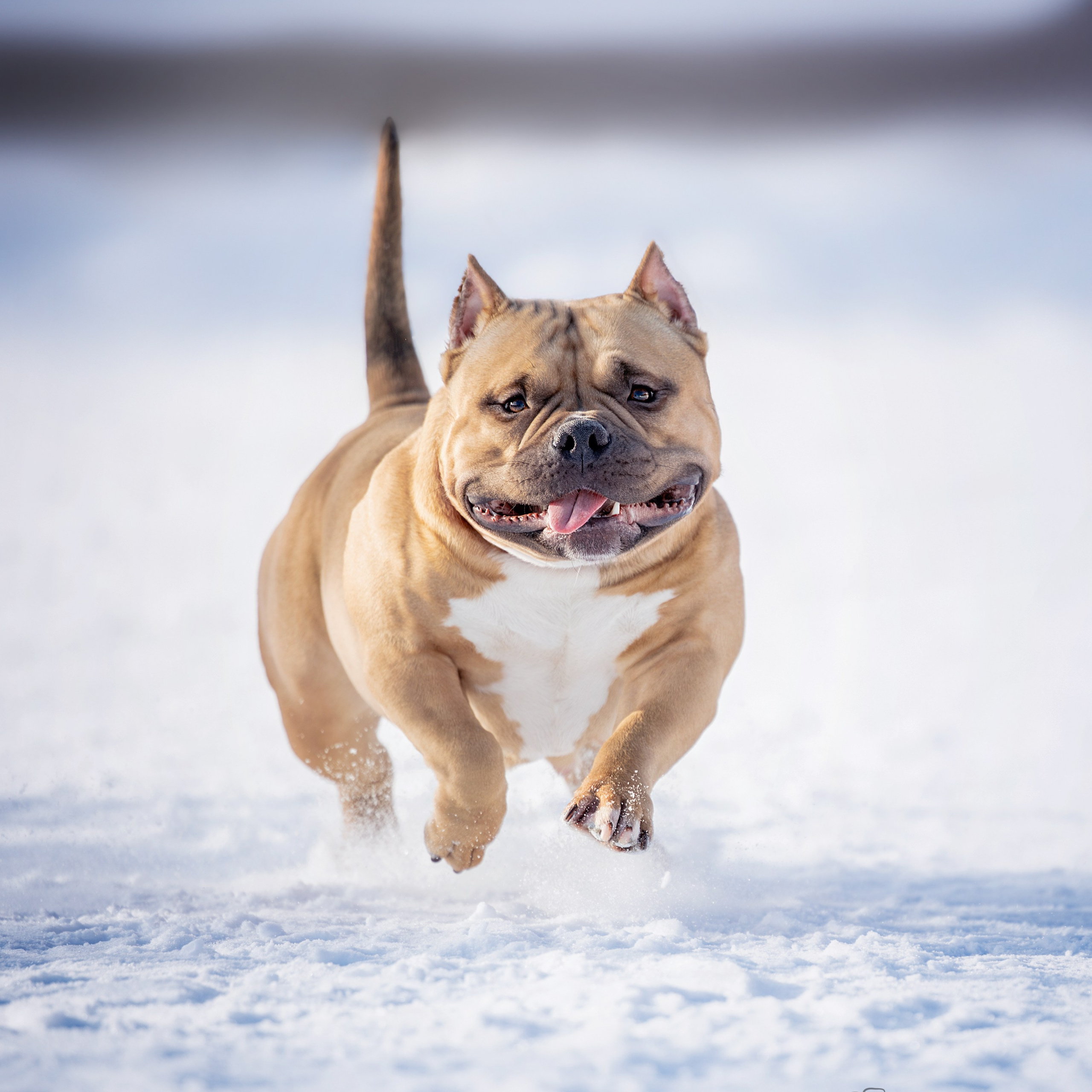 Истории. Главная