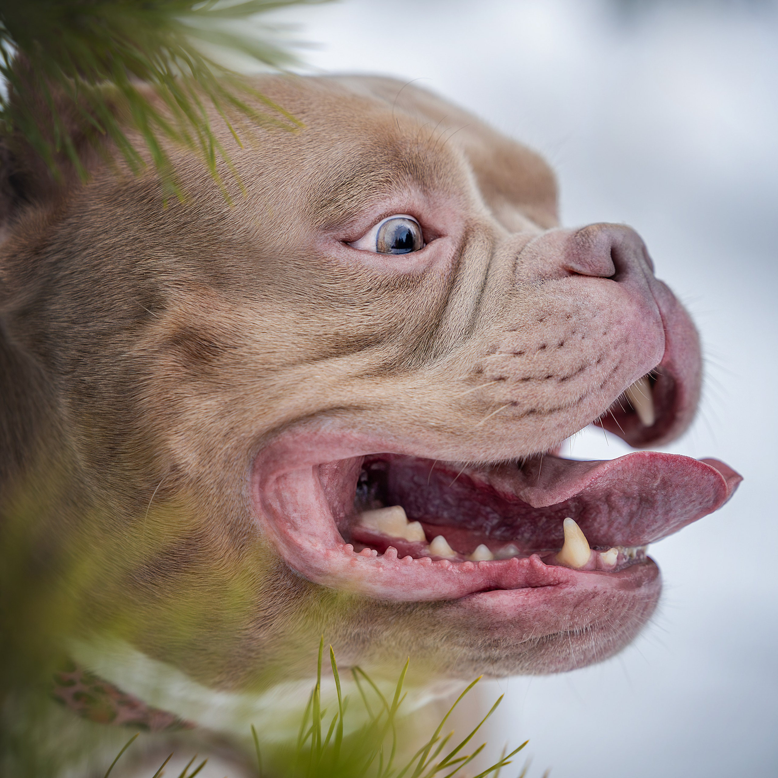 Истории. Главная