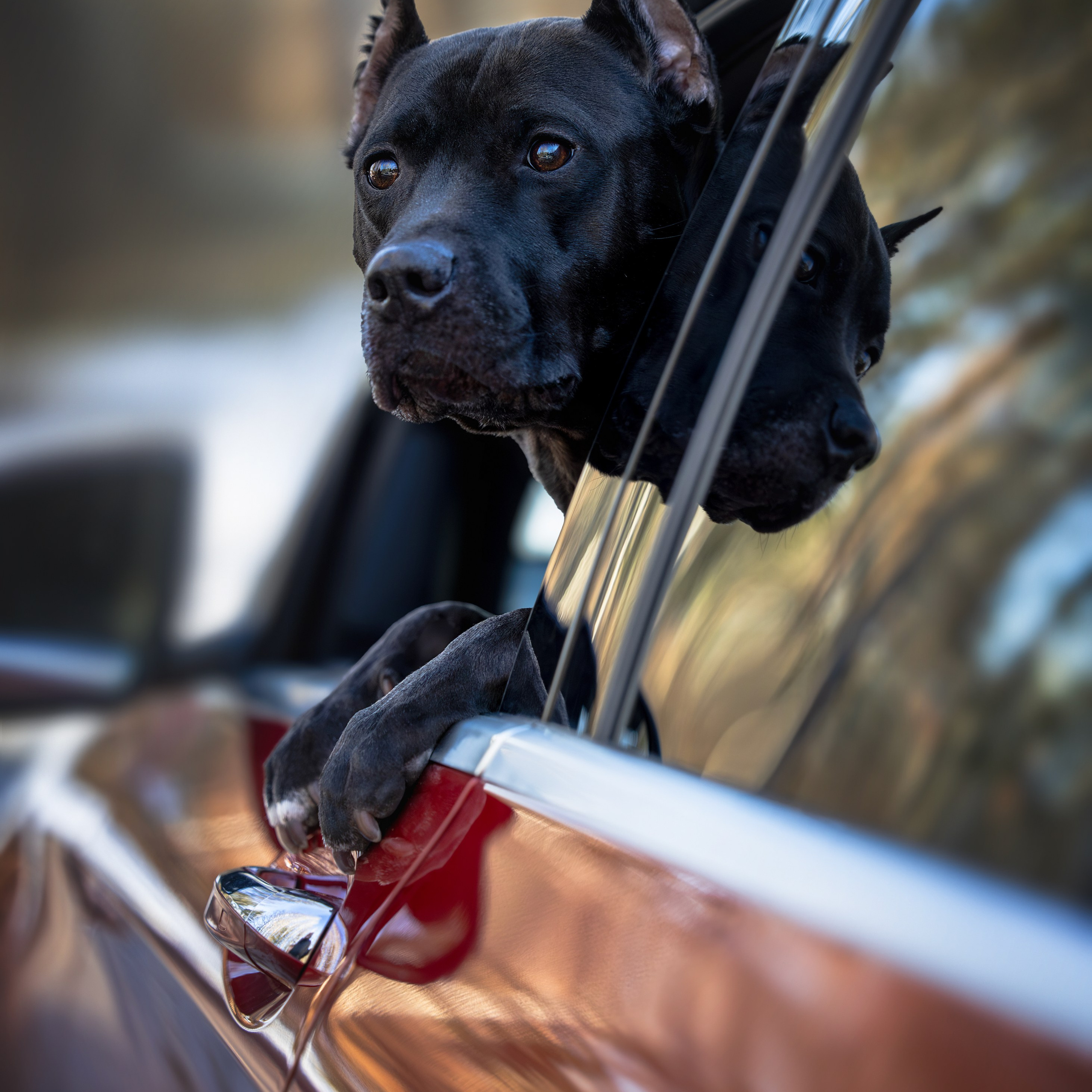 Истории. Главная