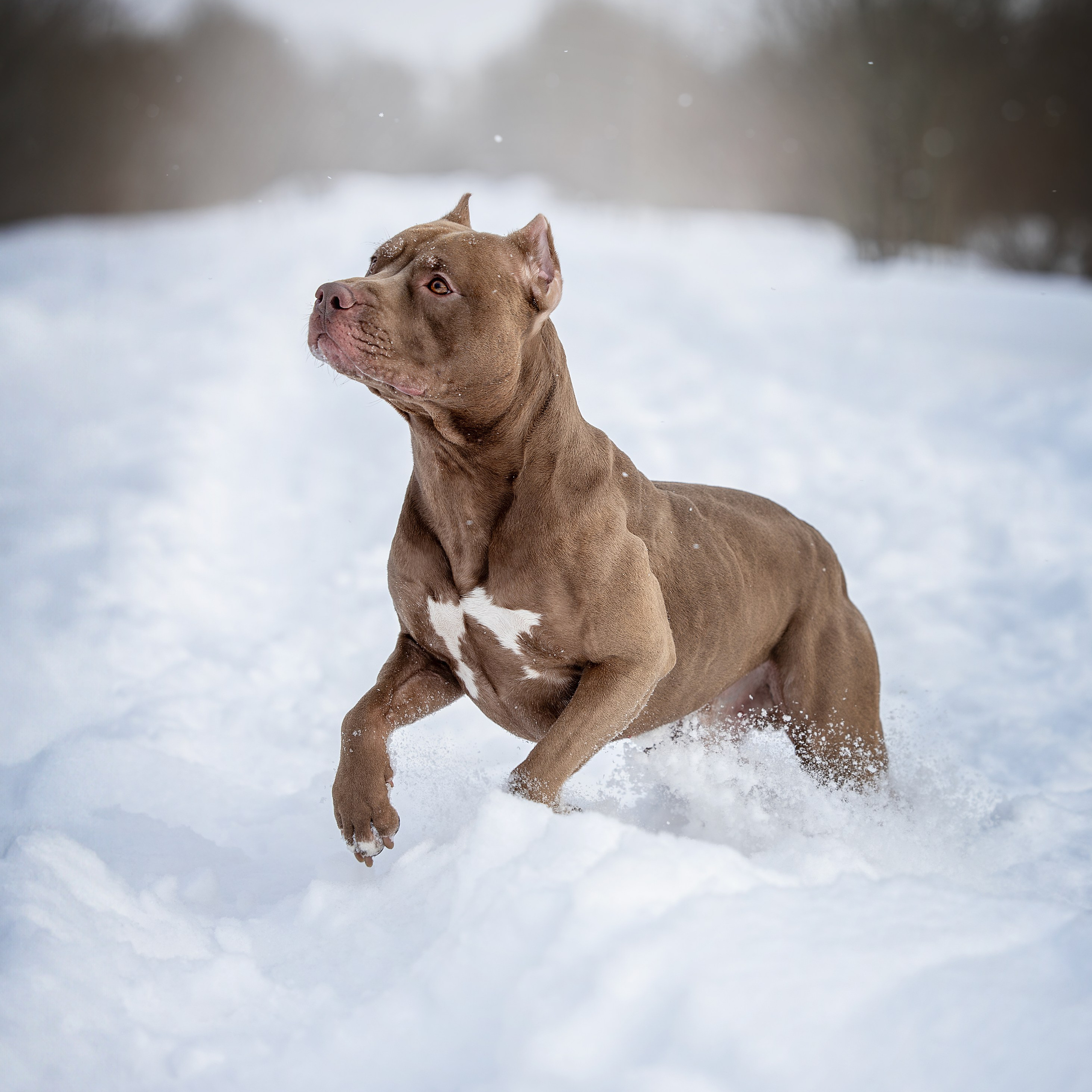 Истории. Главная