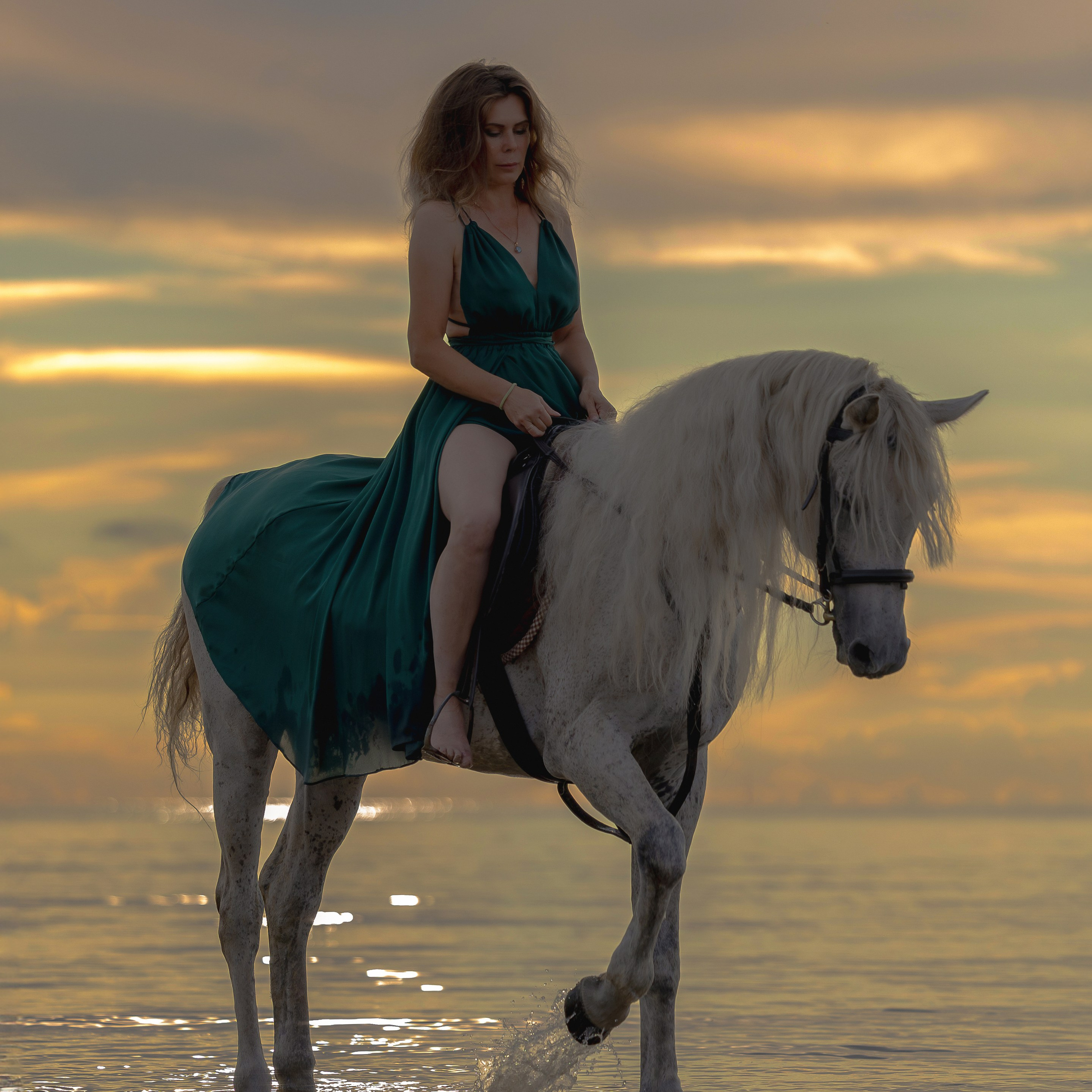 Лошади и люди