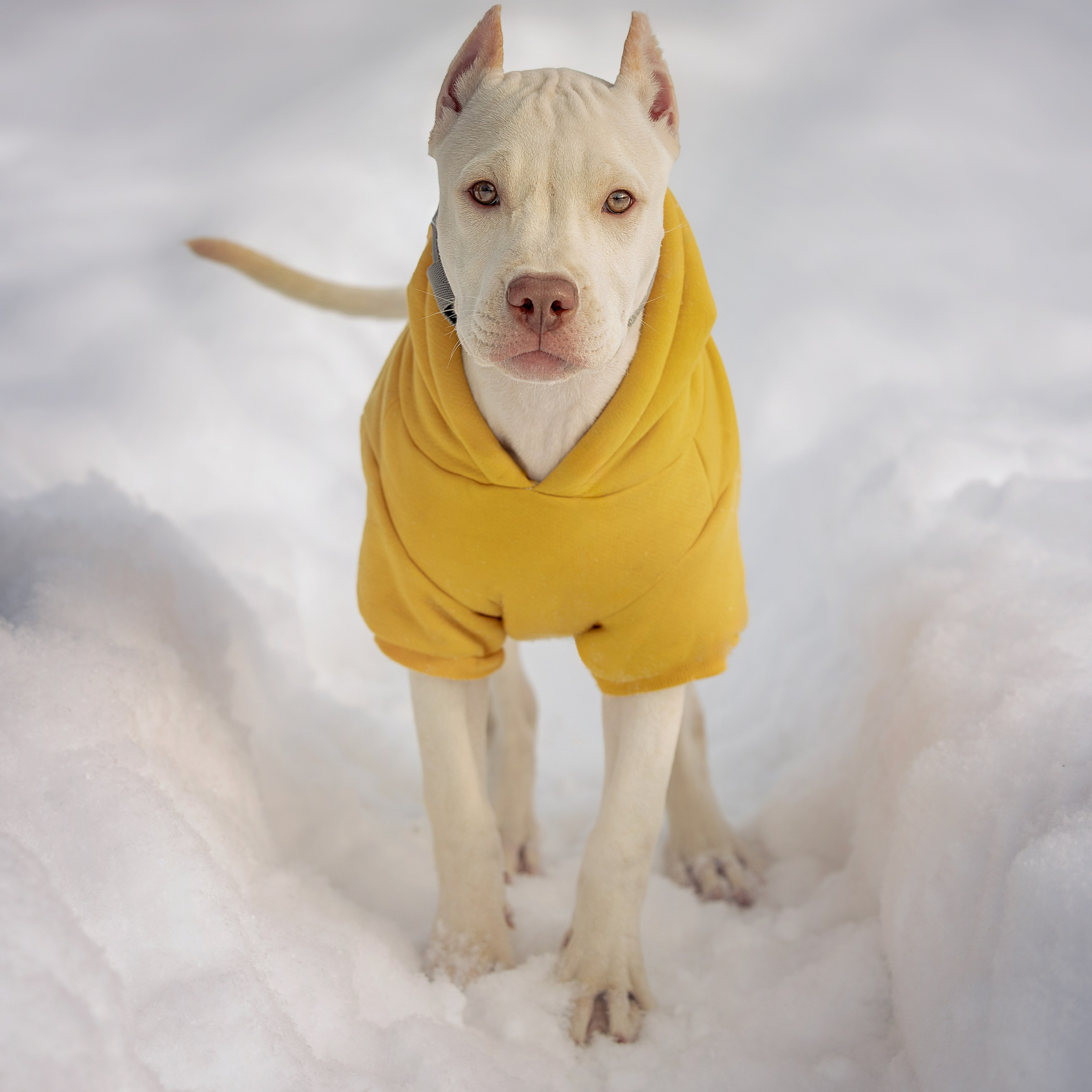 Истории. Главная