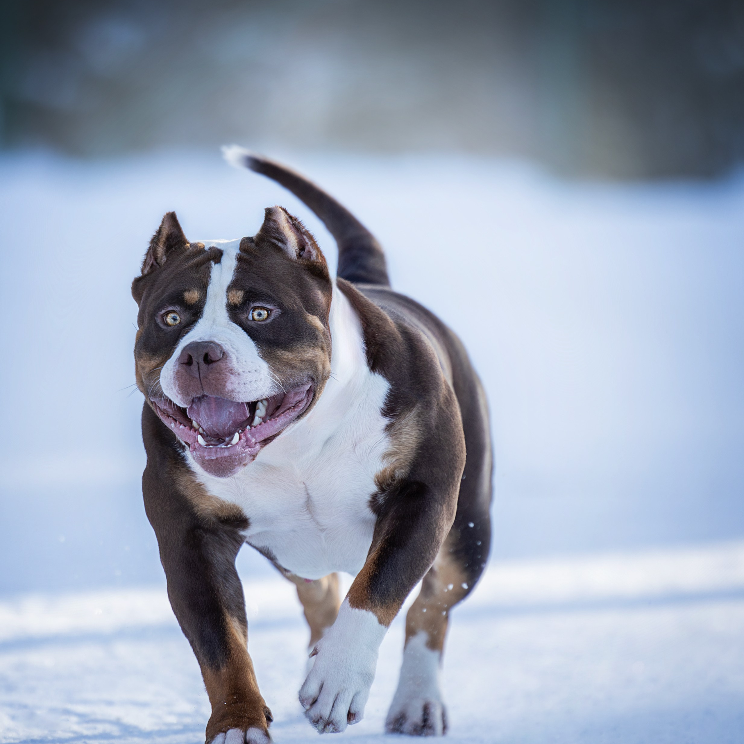 Истории. Главная