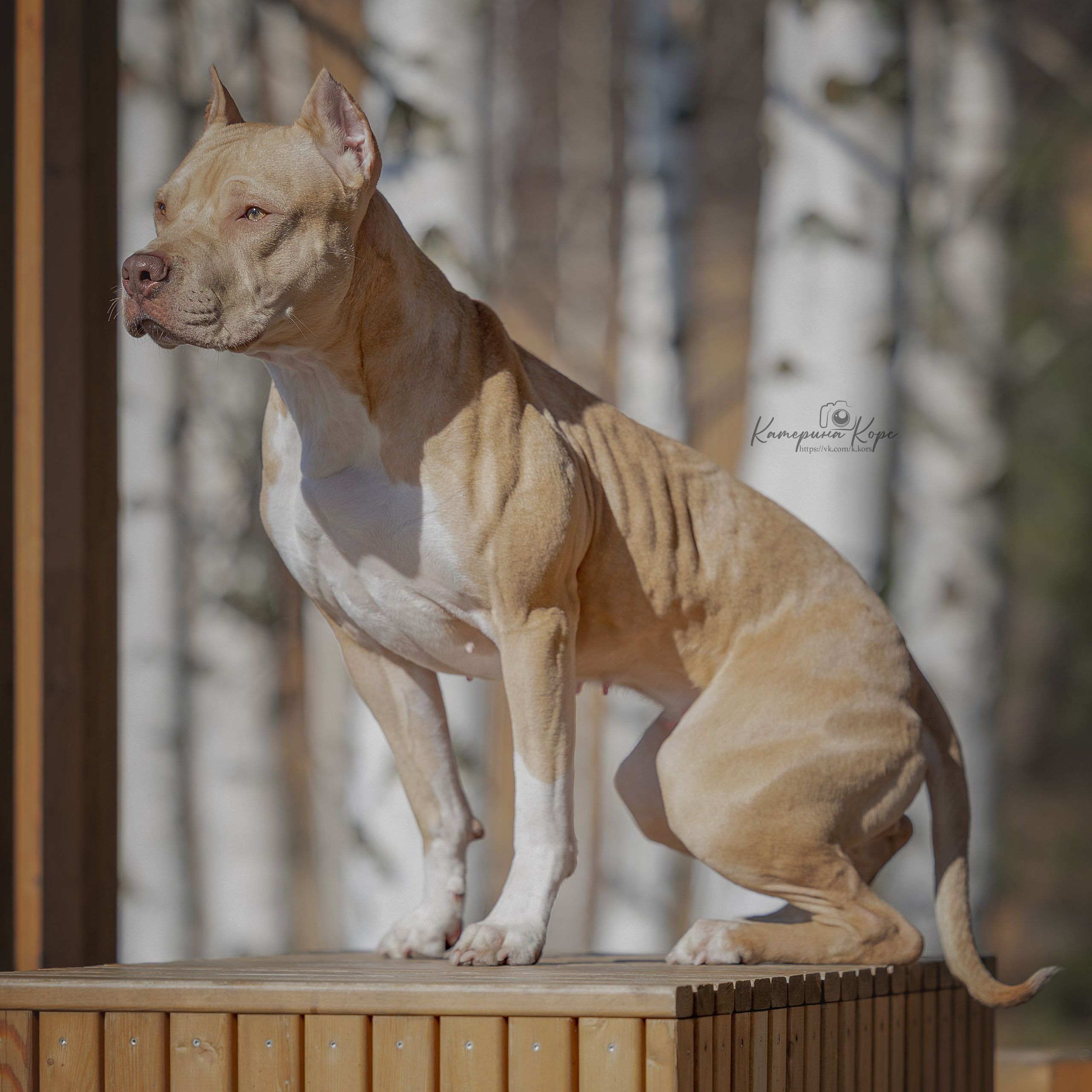 Истории. Главная