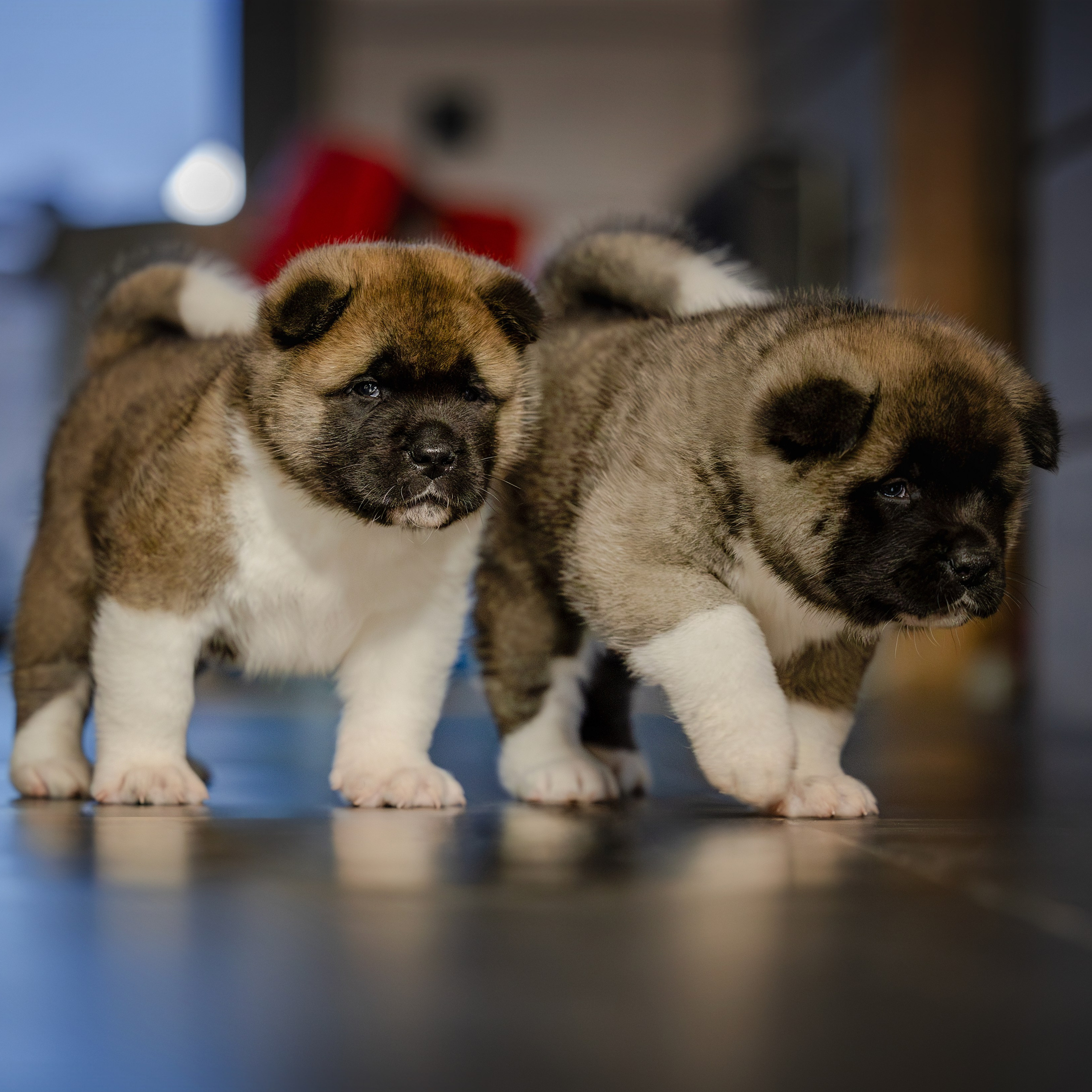 Истории. Главная