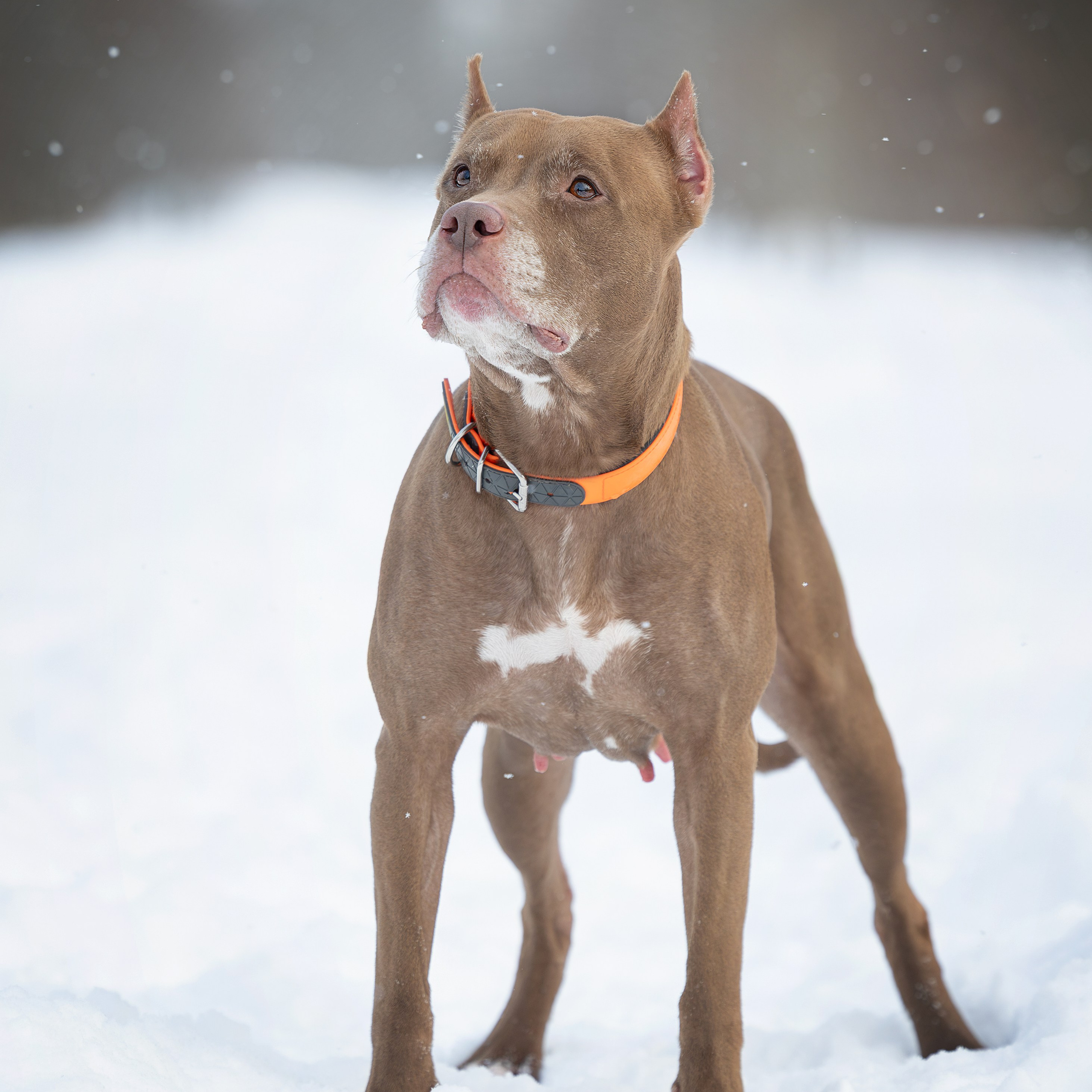 Истории. Главная