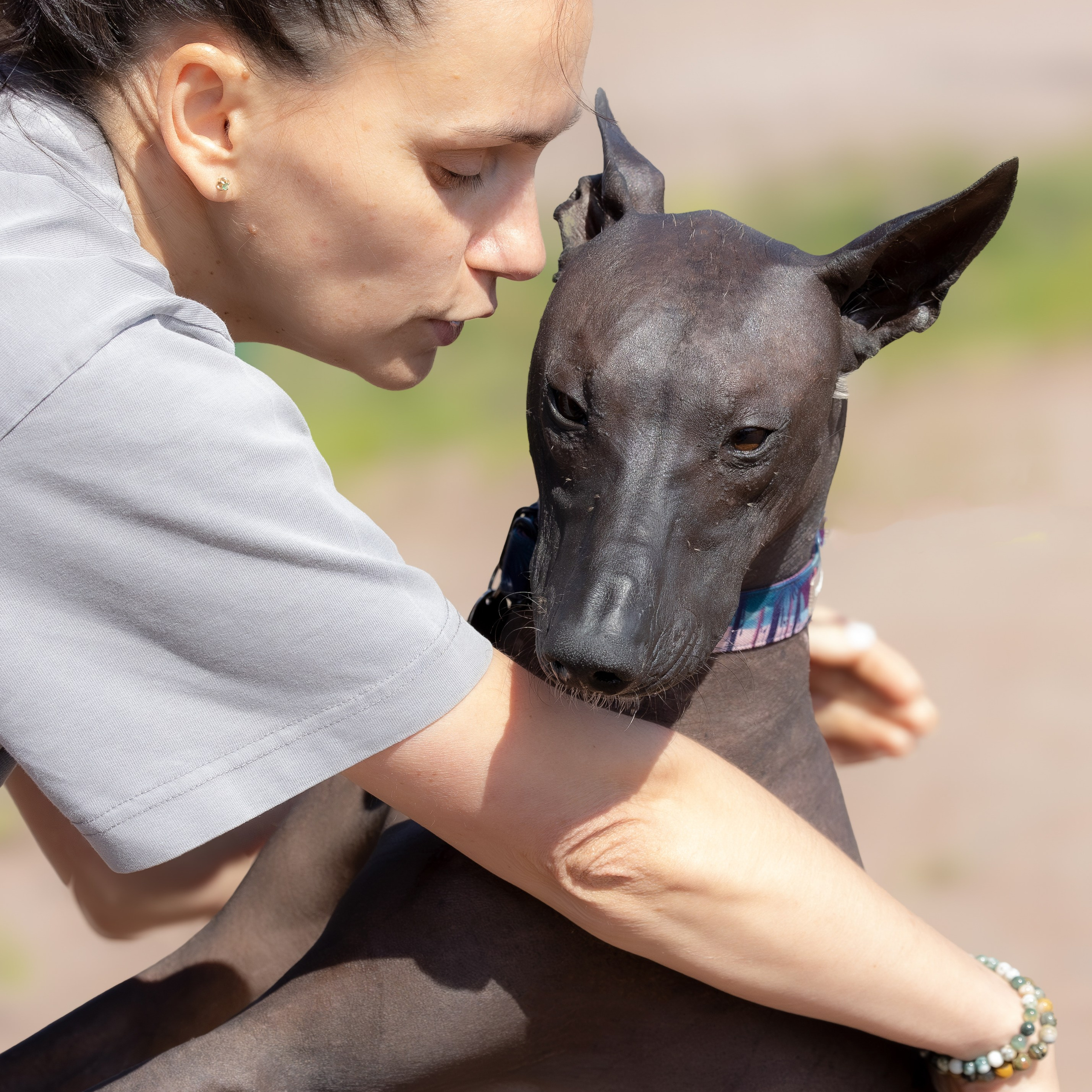 Собаки и люди