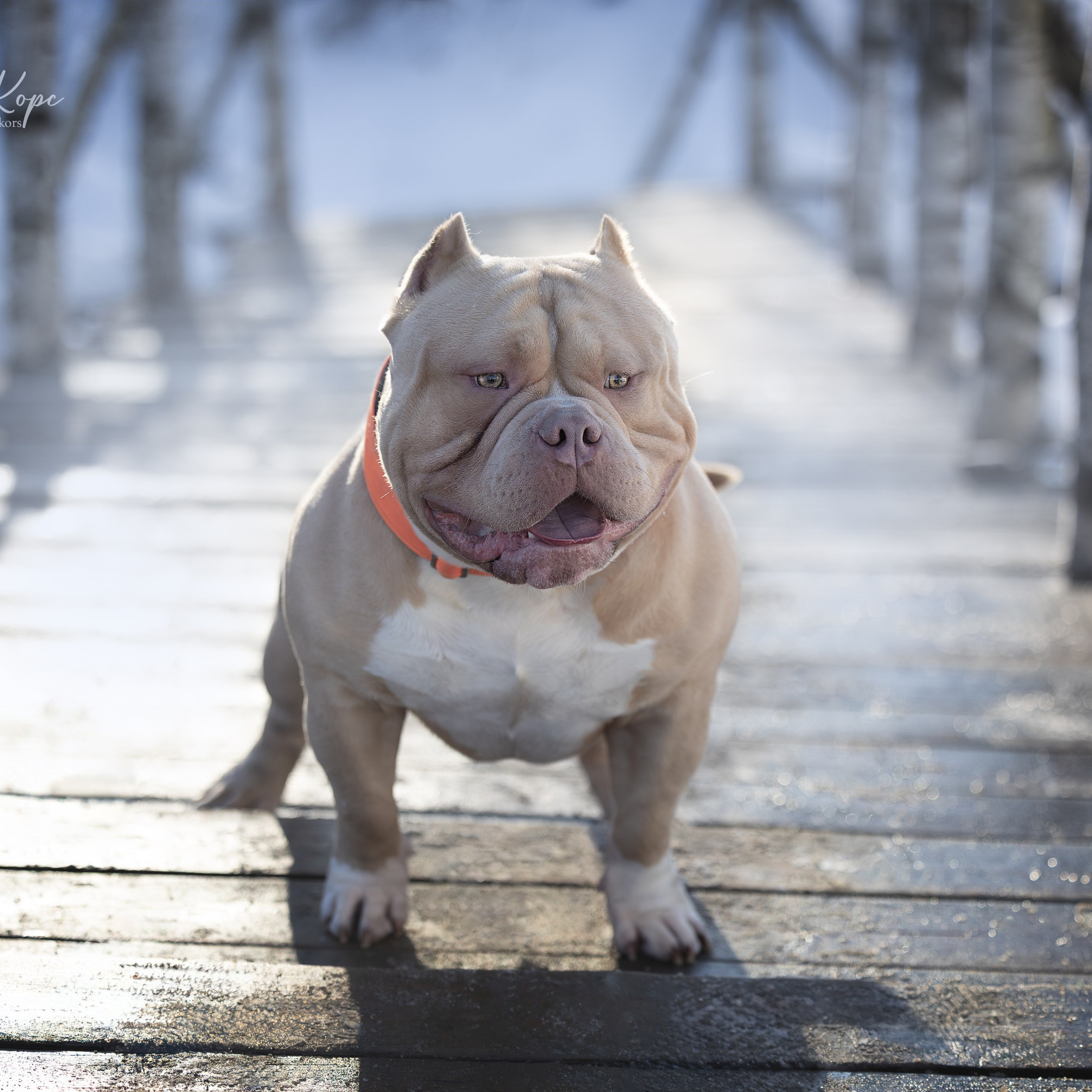 Истории. Главная