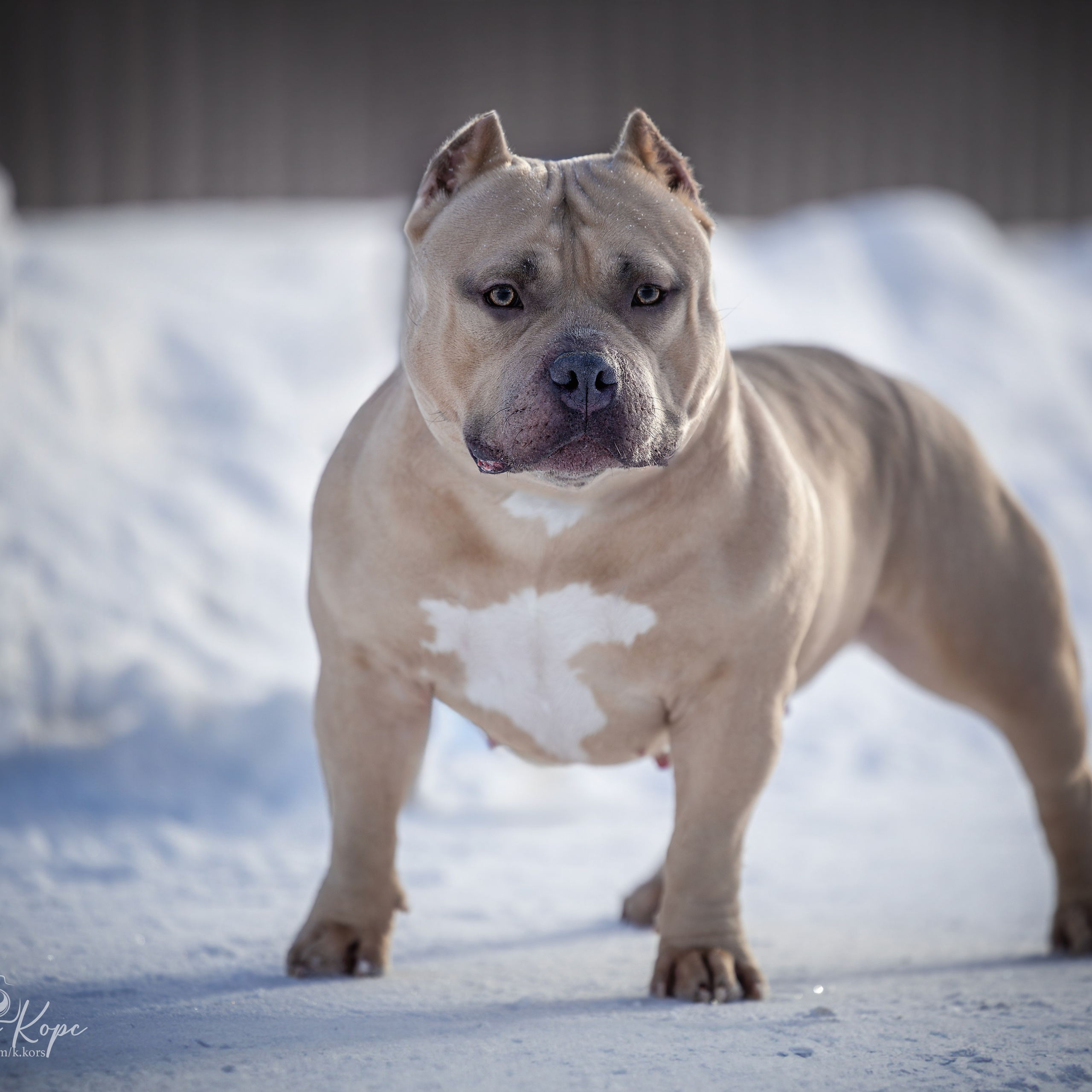 Истории. Главная