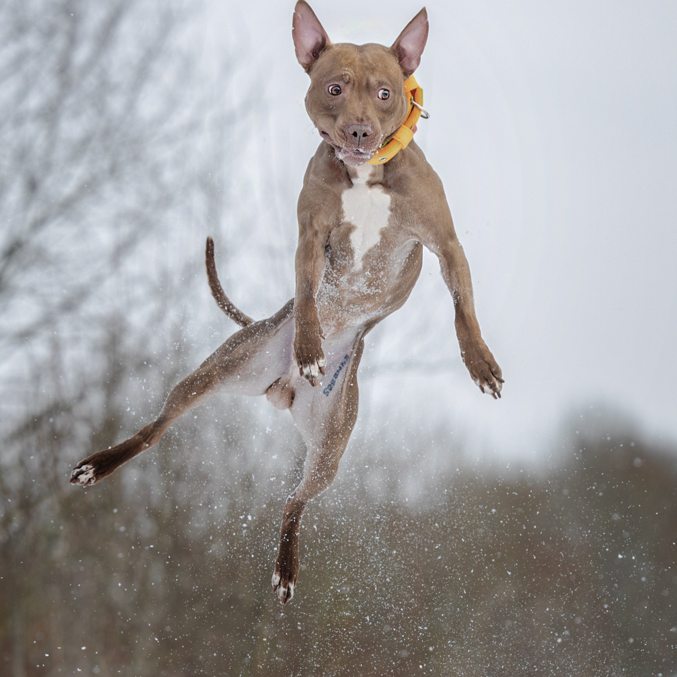 Истории. Главная