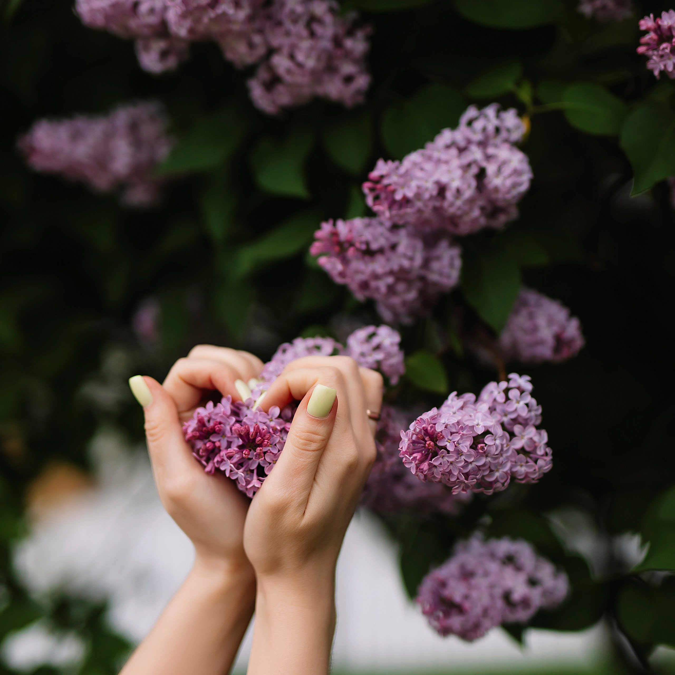 Прогулка в парке Коломенское