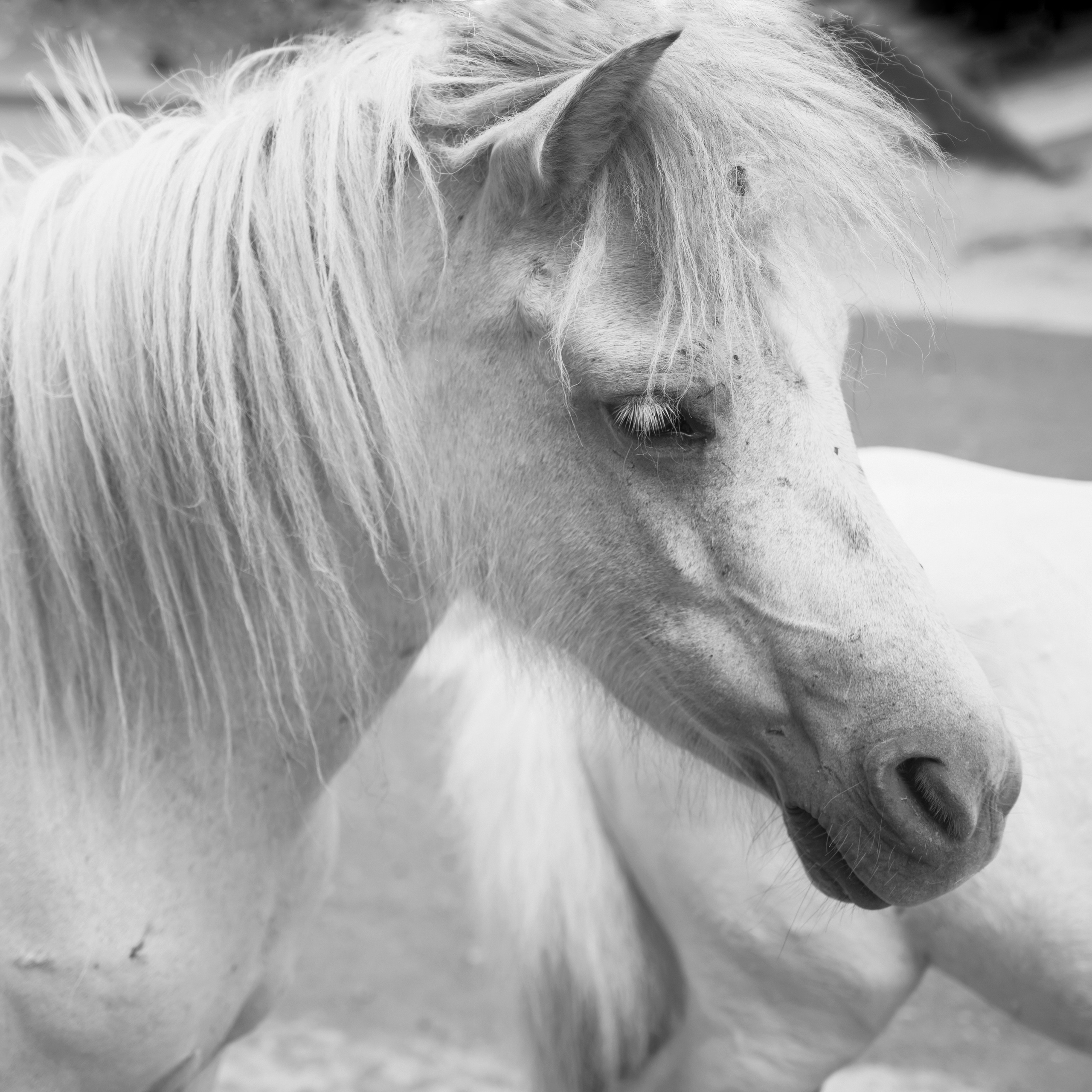 Отпускные зарисовки. Фотограф Елена Хазина, Рязань