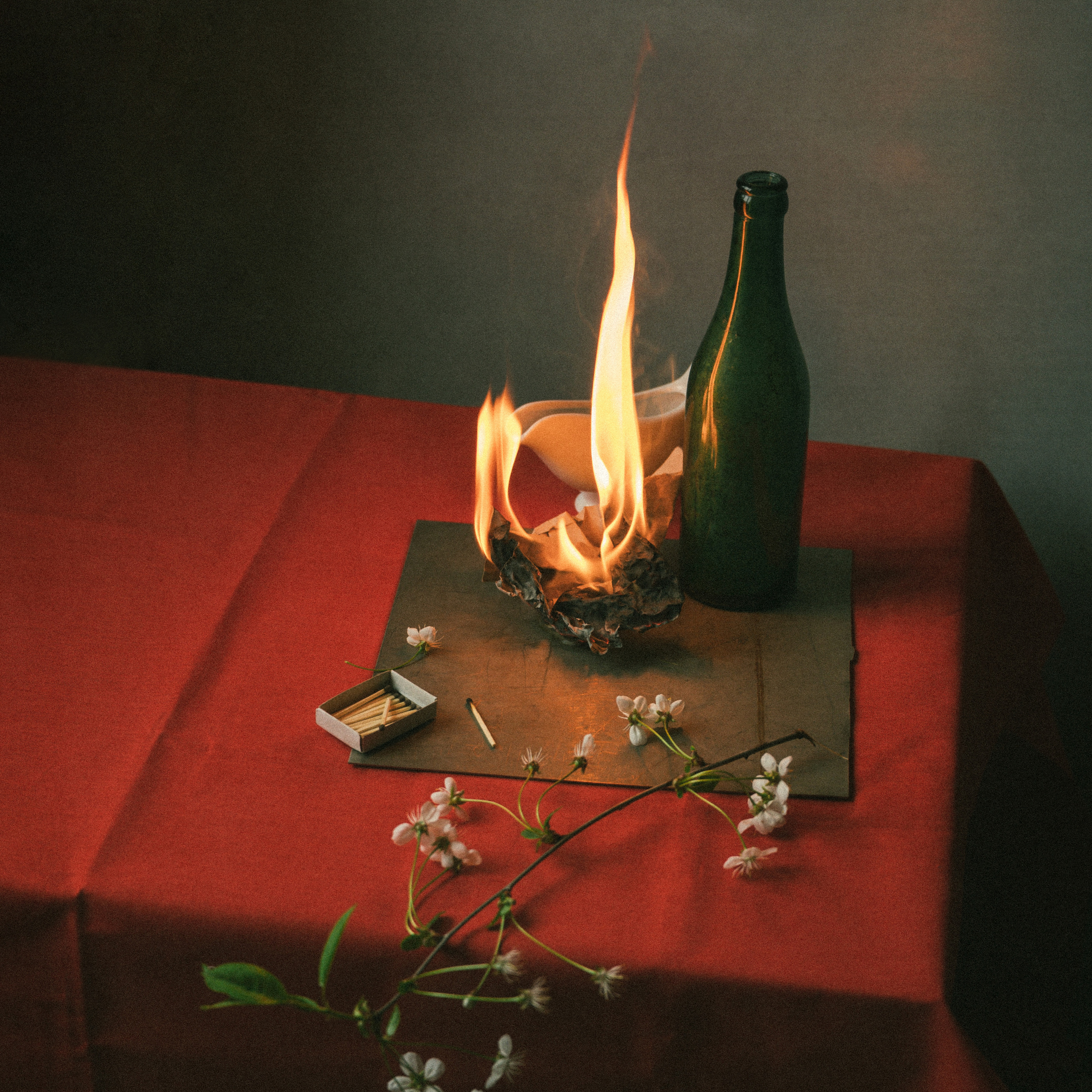 Топ 9 за май. Фотограф Елена Хазина, Рязань