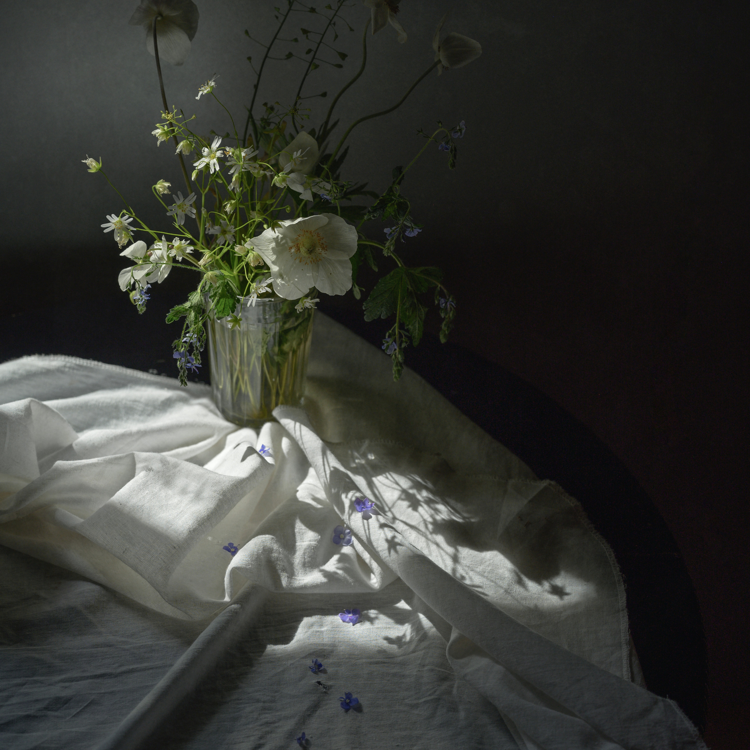 Топ 9 за май. Фотограф Елена Хазина, Рязань