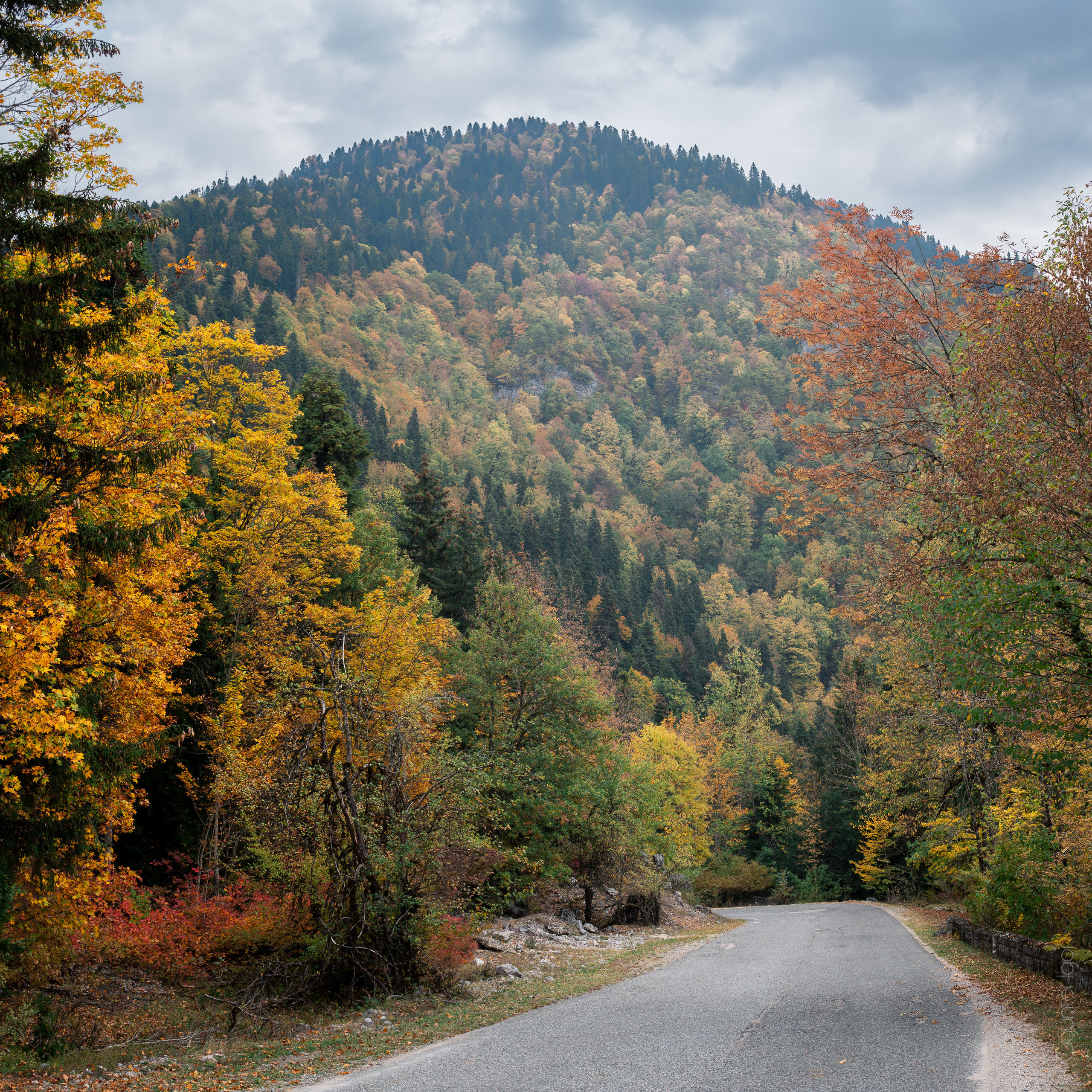 Отзывы  о Gyunter-Photo. Фотограф Гюнтер Игорь