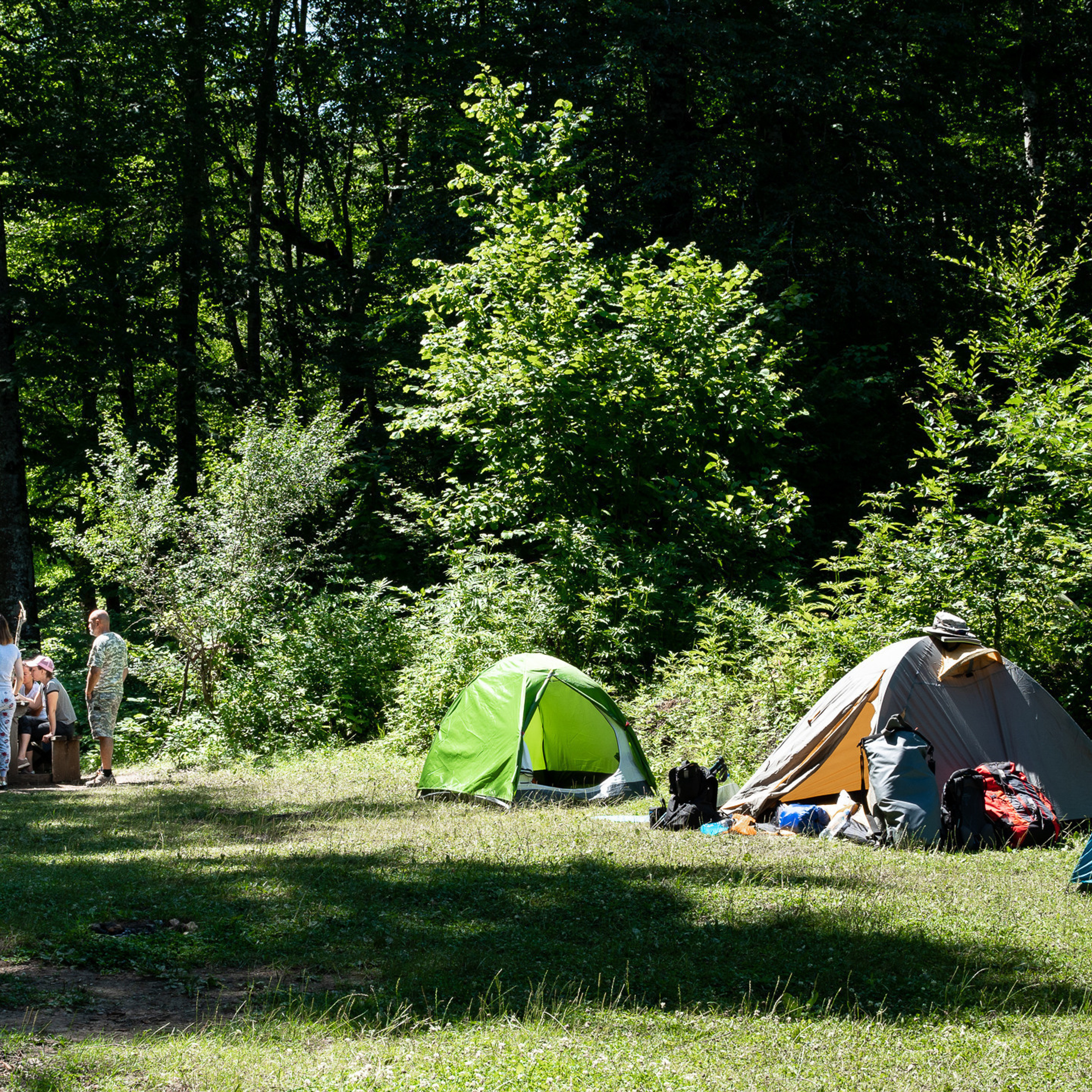 Отзывы  о Gyunter-Photo. Фотограф Гюнтер Игорь