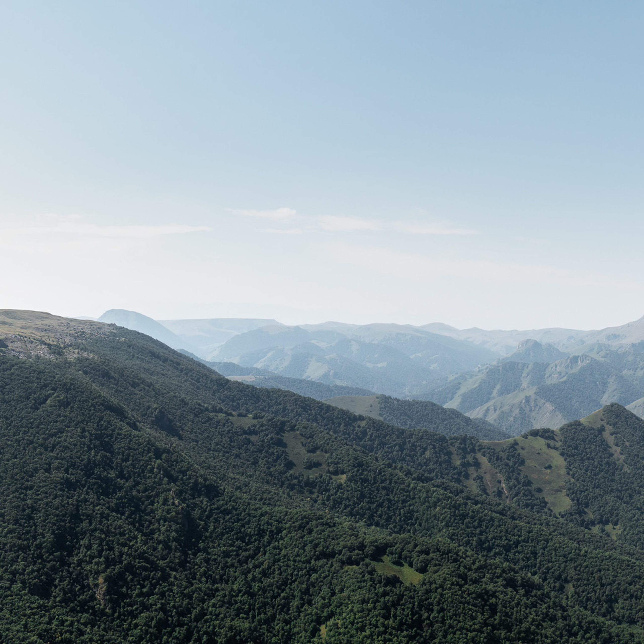 Отзывы  о Gyunter-Photo. Фотограф Гюнтер Игорь