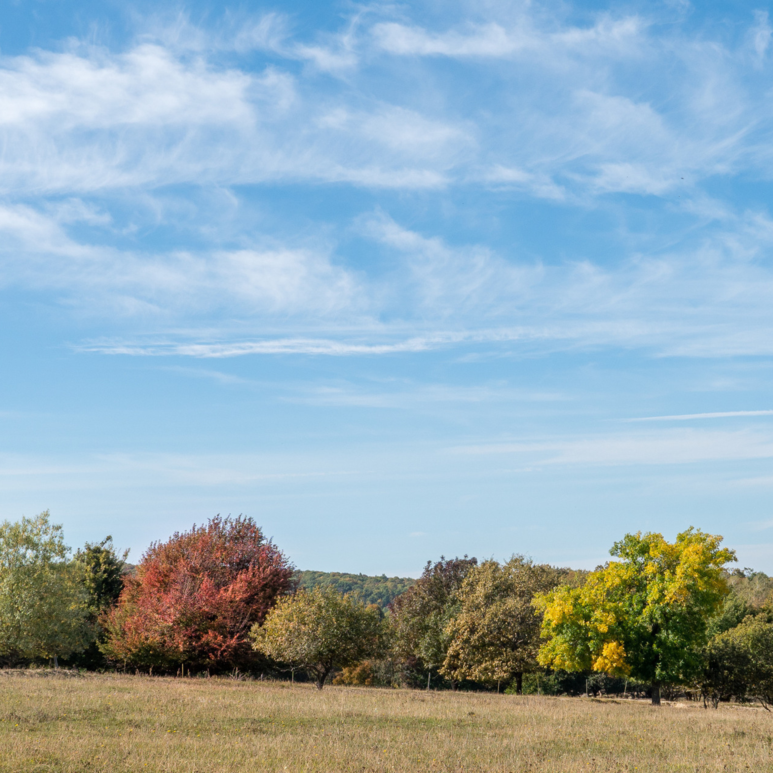 Отзывы  о Gyunter-Photo. Фотограф Гюнтер Игорь
