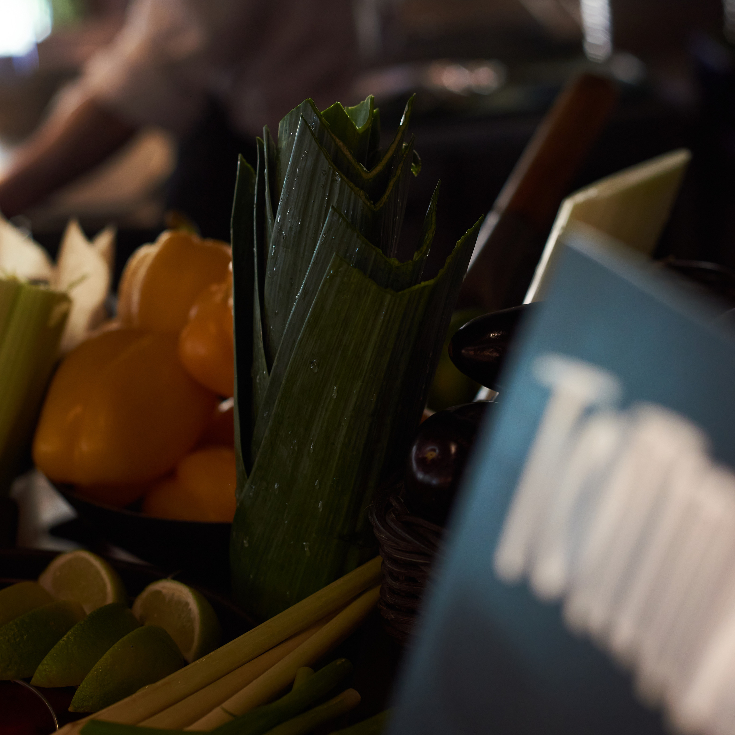 Отзывы. Фотограф Александра Рогожкина