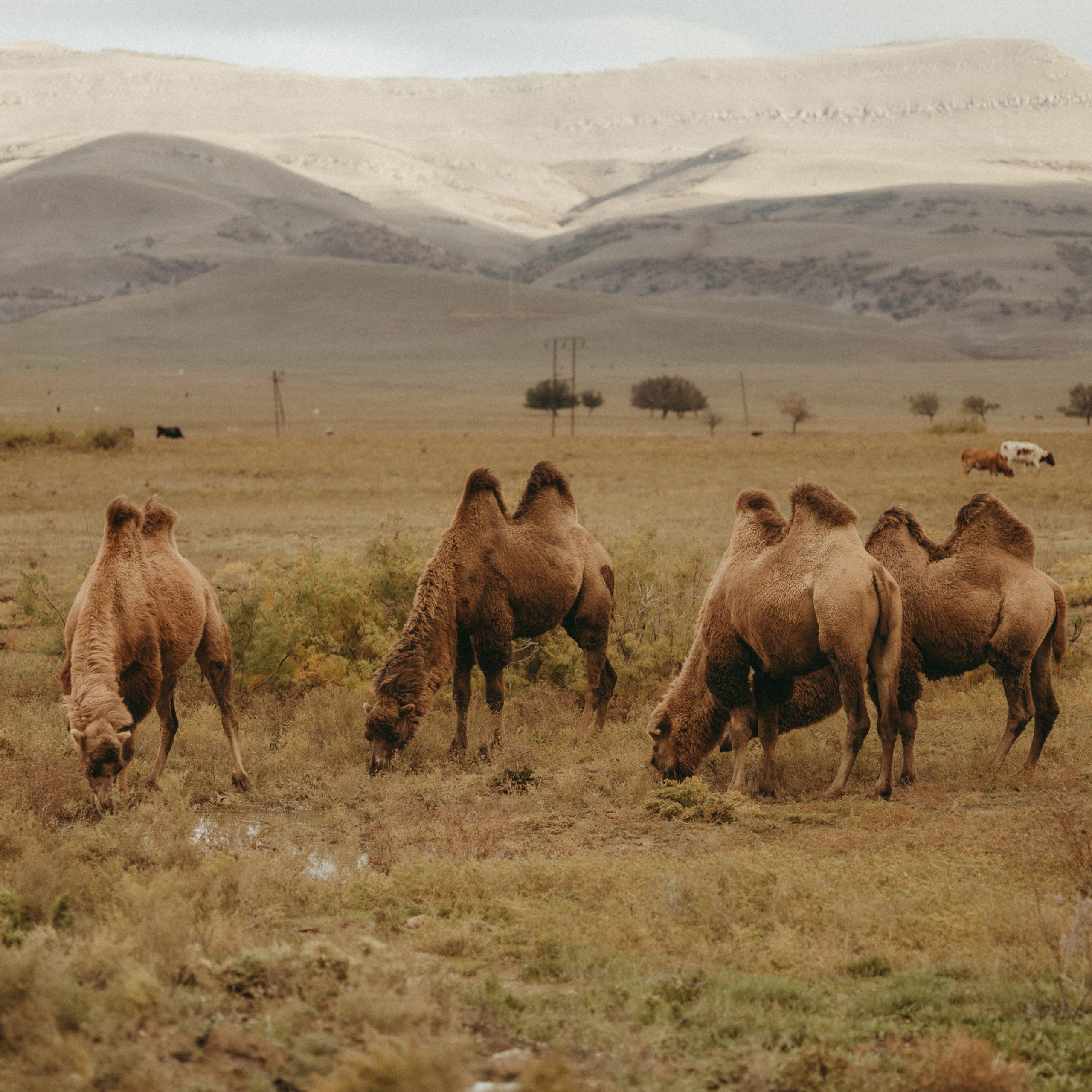 Отзывы. Семейный фотограф Яна Радюхина
