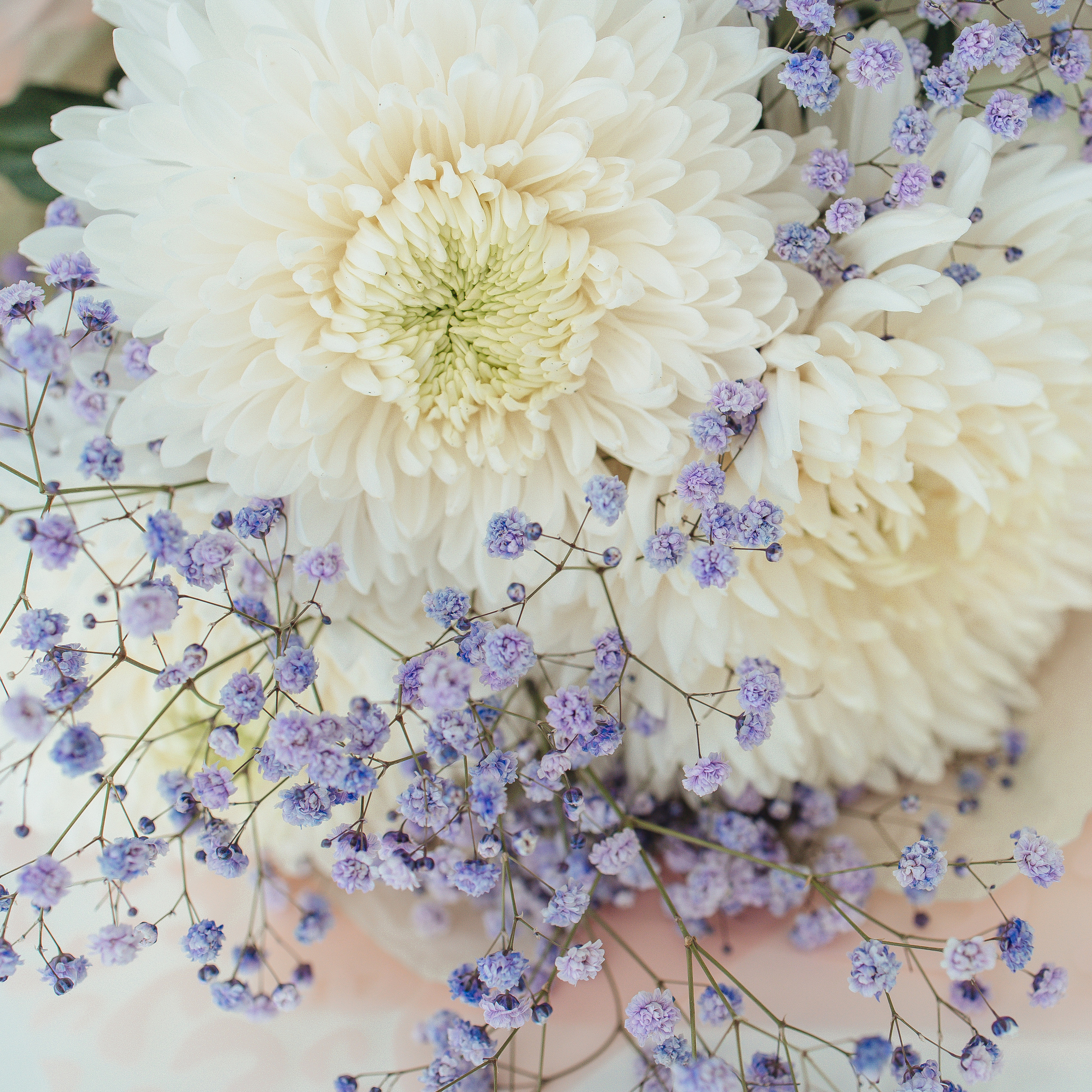 Отзывы. МиМика — самая детская фотография