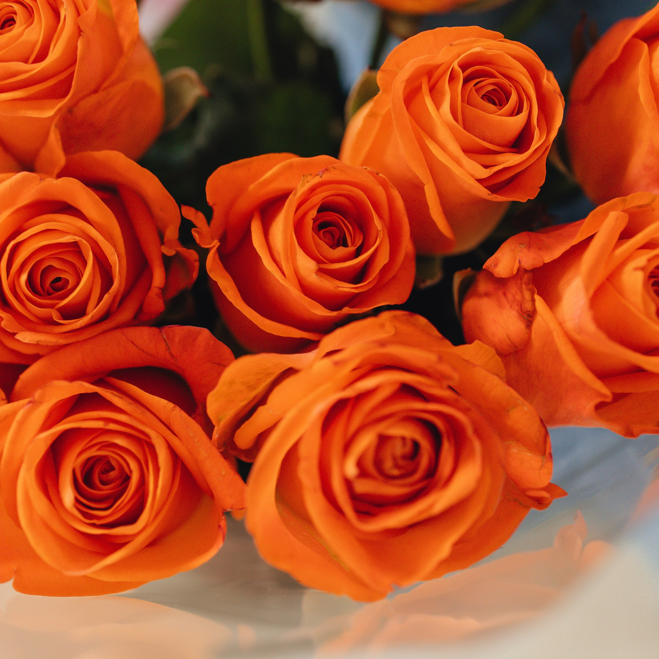 Отзывы. МиМика — самая детская фотография