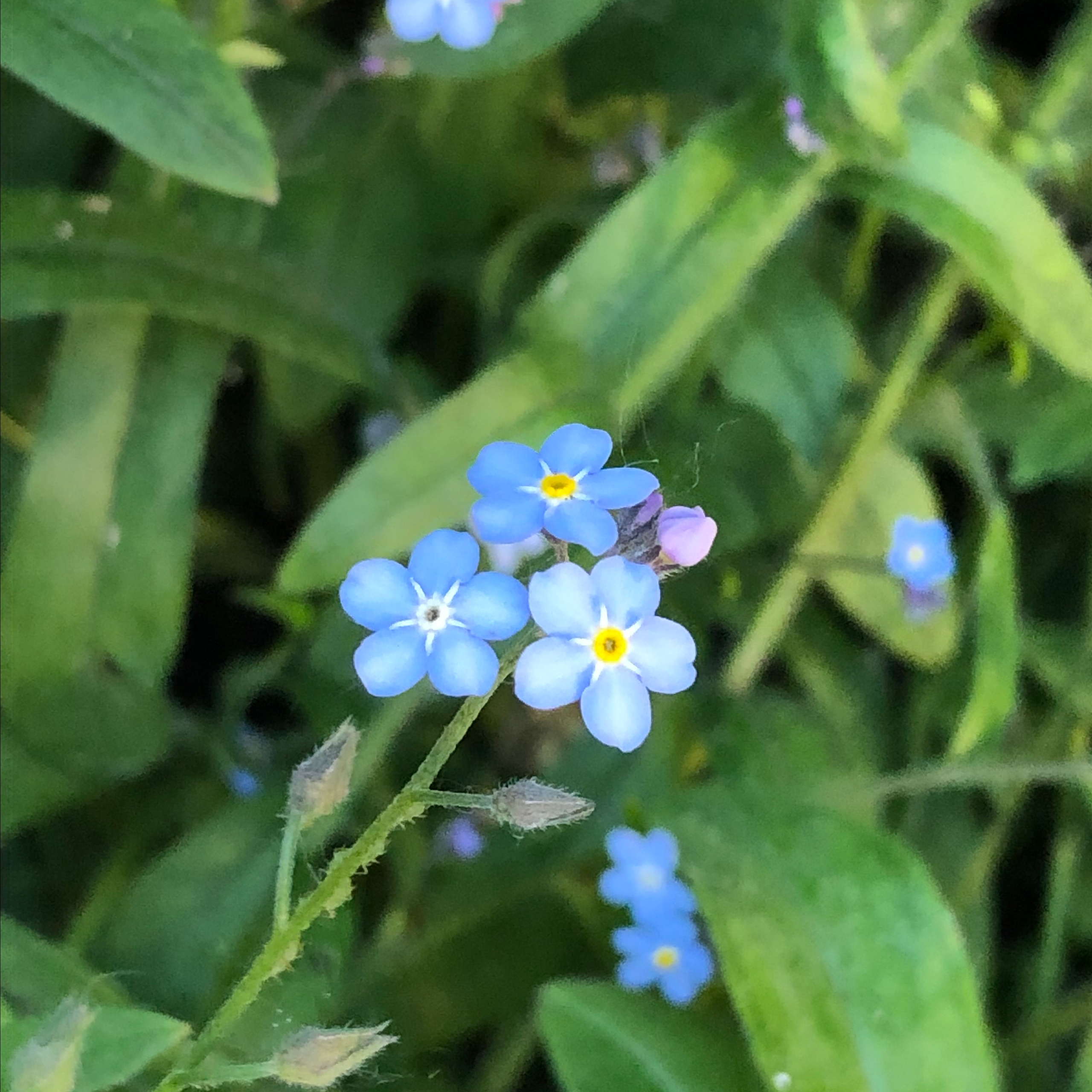 Отзывы. Семейные фотографы в Екатеринбурге Анна и Александр A&A Best Foto