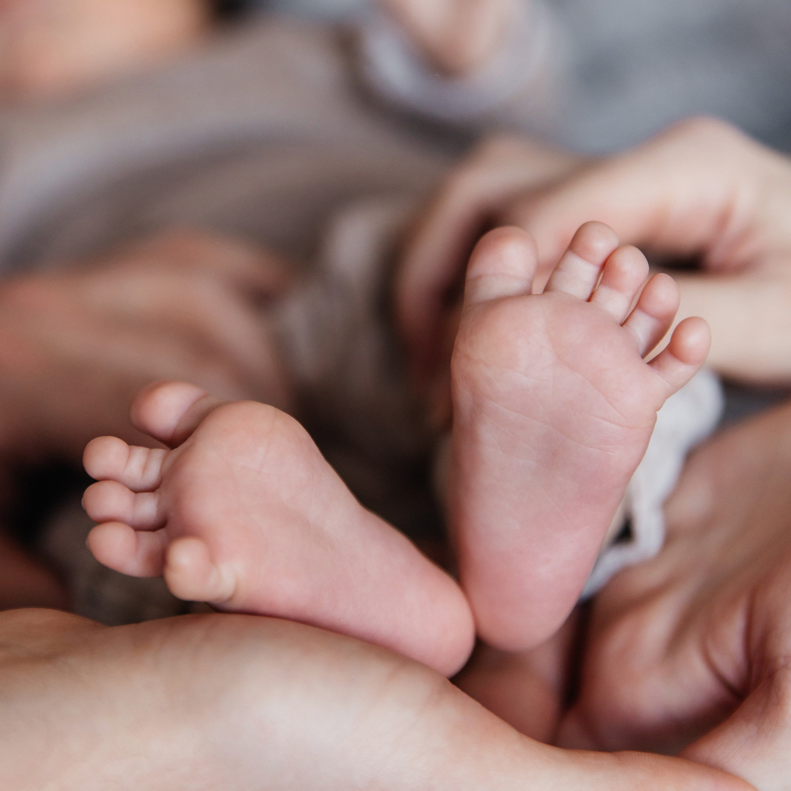 Илья|Ольга|Миша