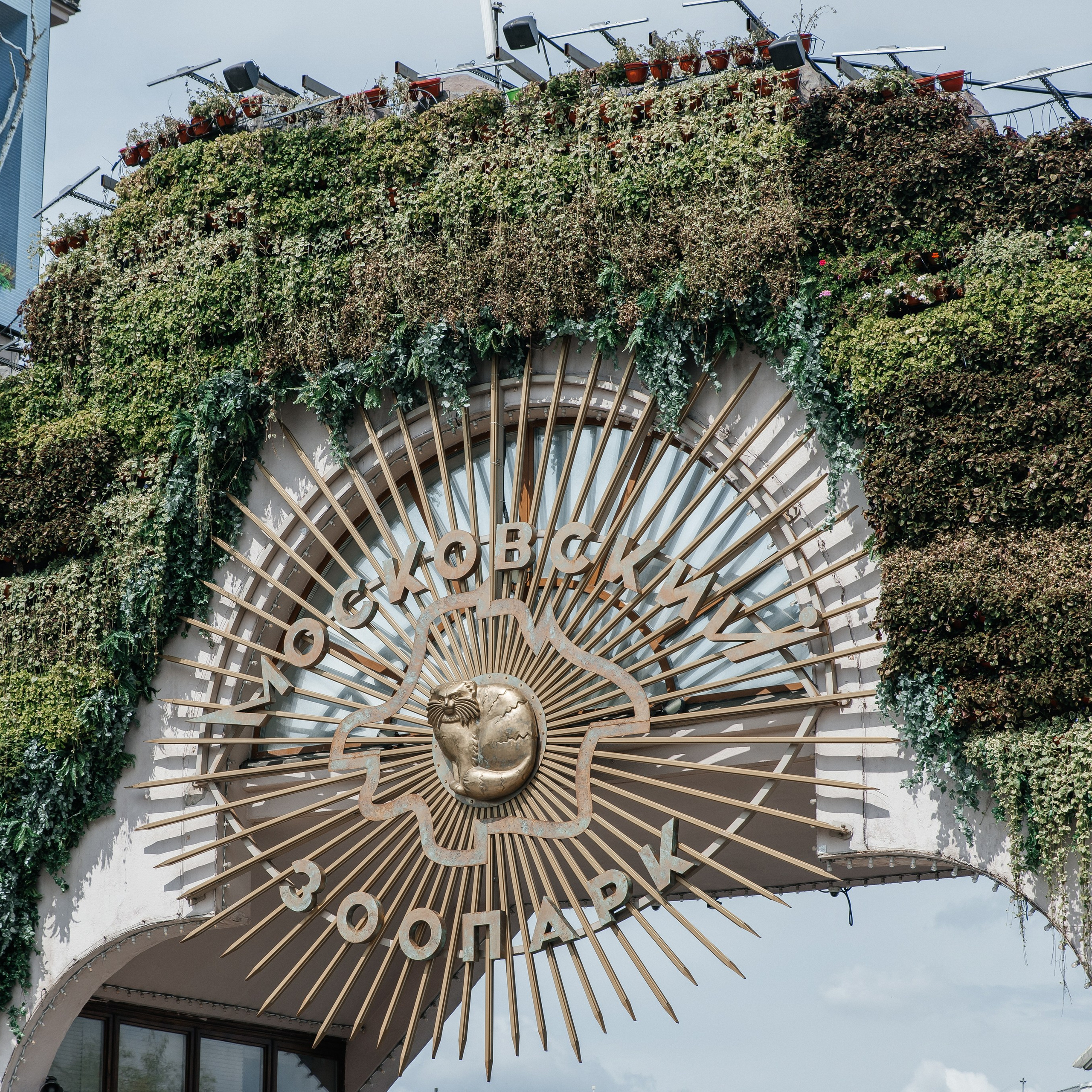 Анастасия и Никита| Зоопарк