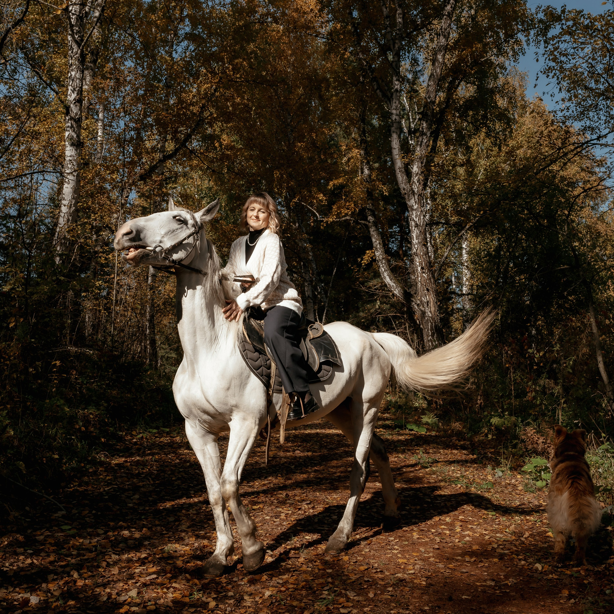 На конном дворе.