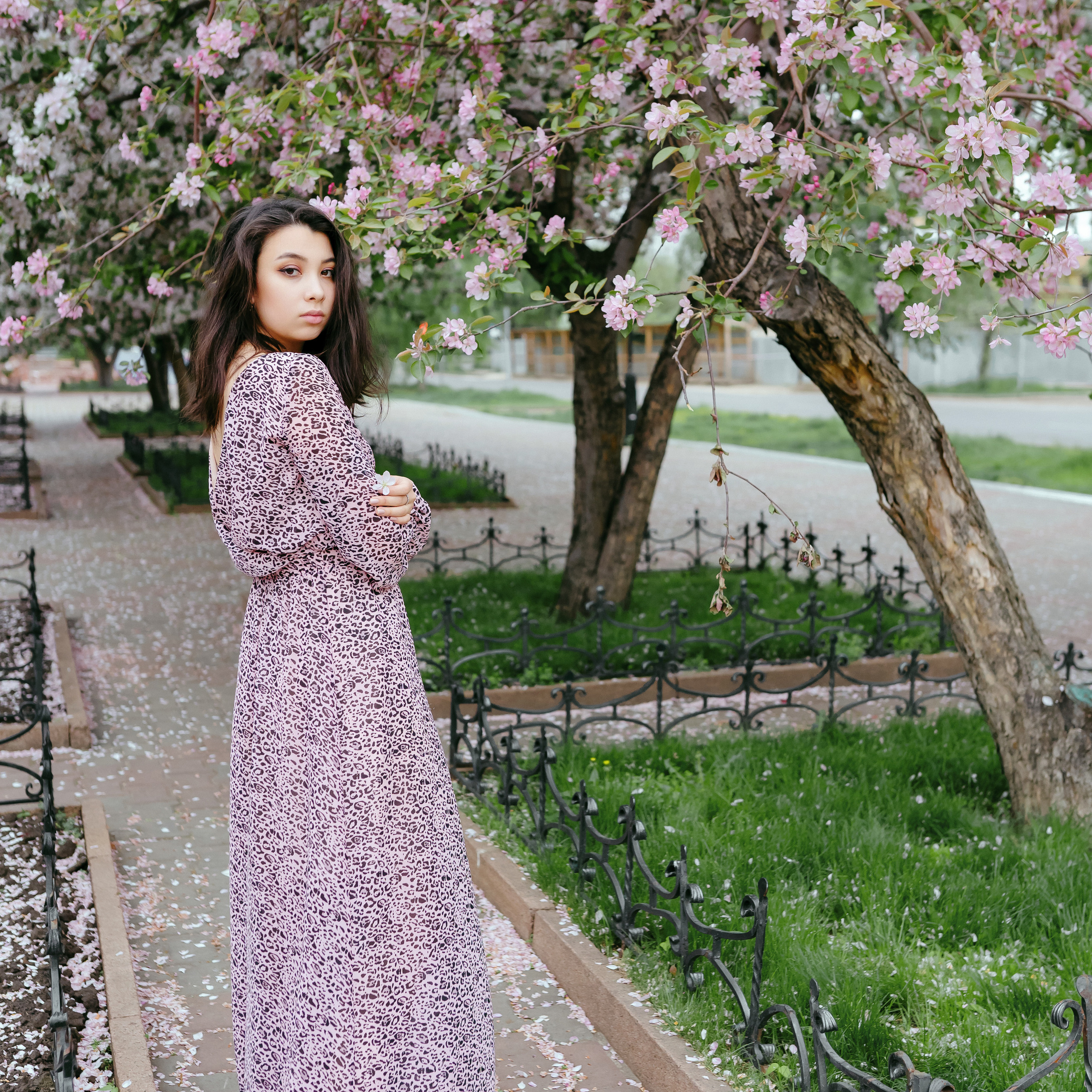 Яблони. Июнь 2023 г.