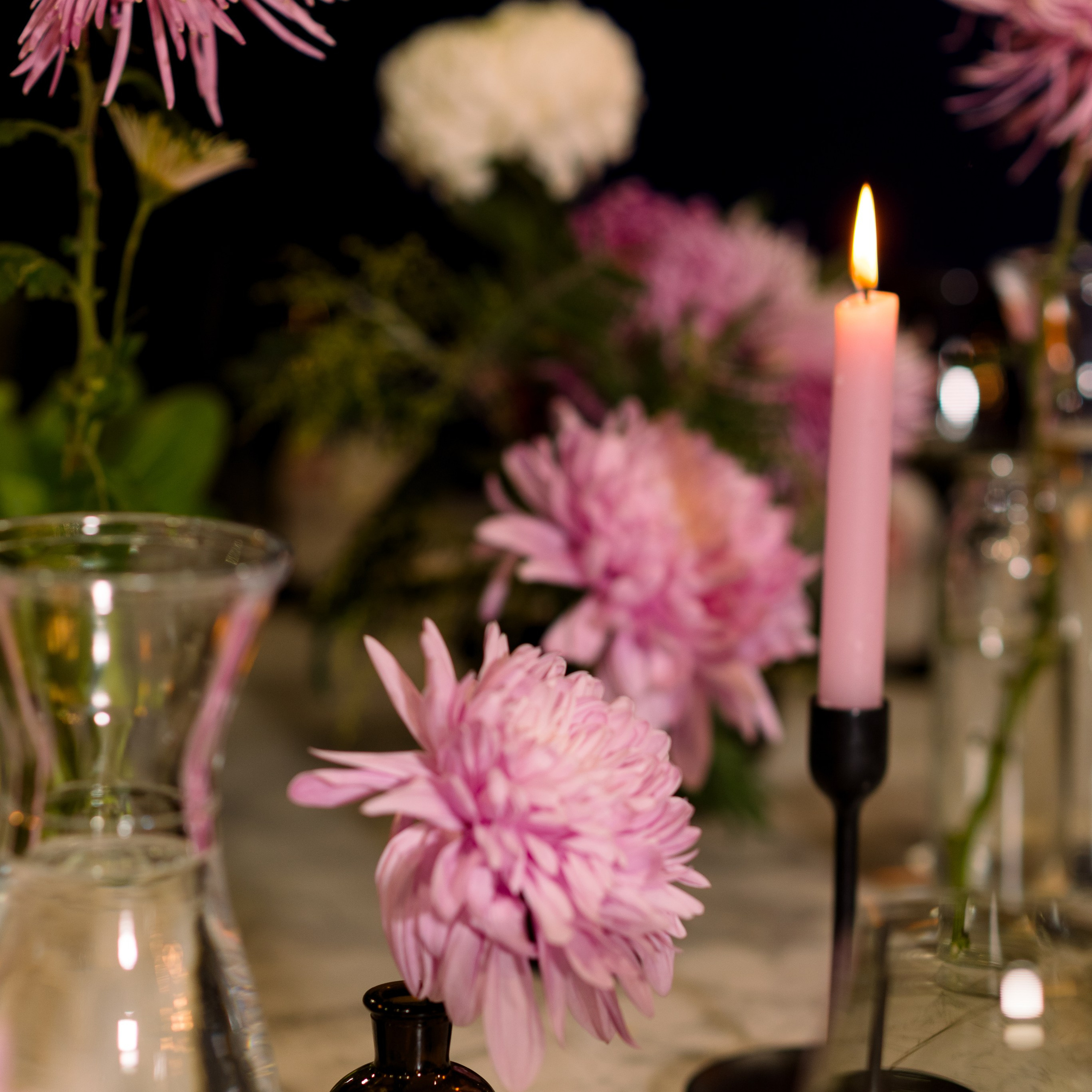 Отзывы. Фотограф Елена Кучук