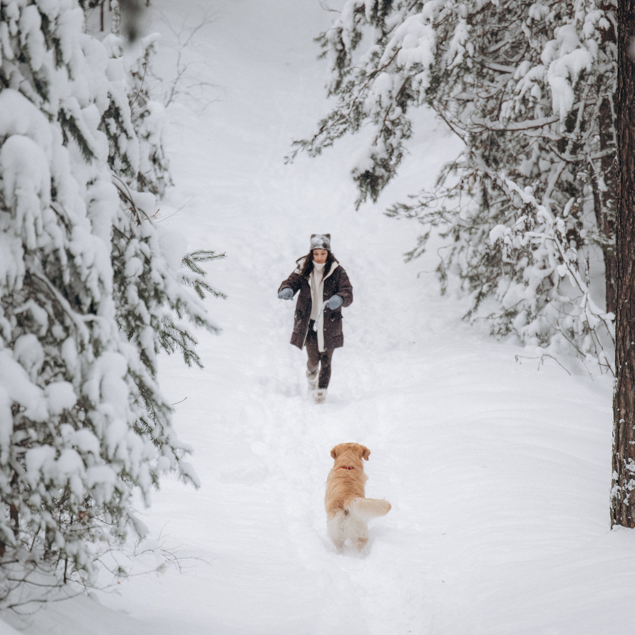 Зимняя история, Света и Чарли