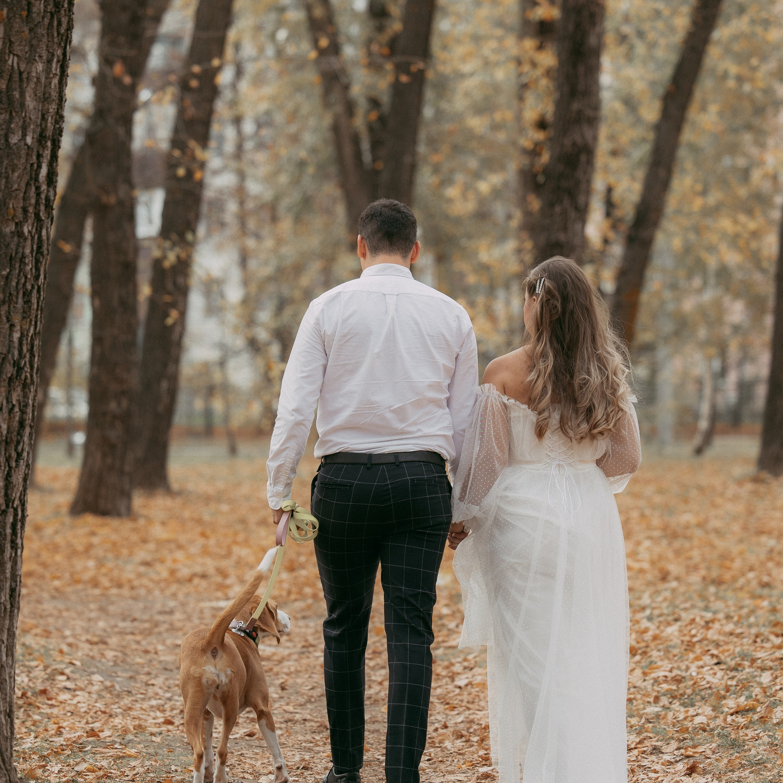 Отзывы. Фотограф анималист в Казани Алина Сулейманова. Фотограф животных