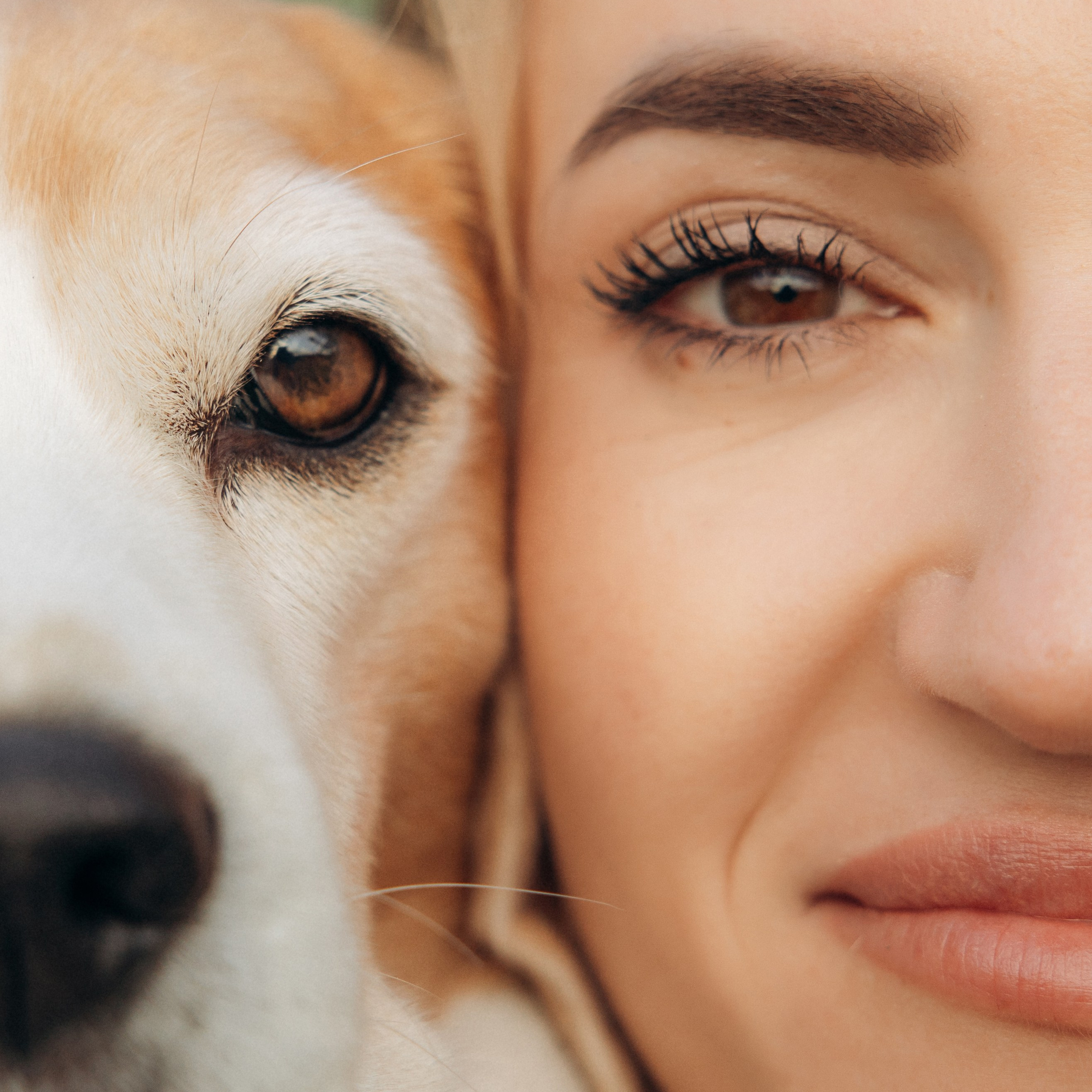 Отзывы. Фотограф анималист в Казани Алина Сулейманова. Фотограф животных